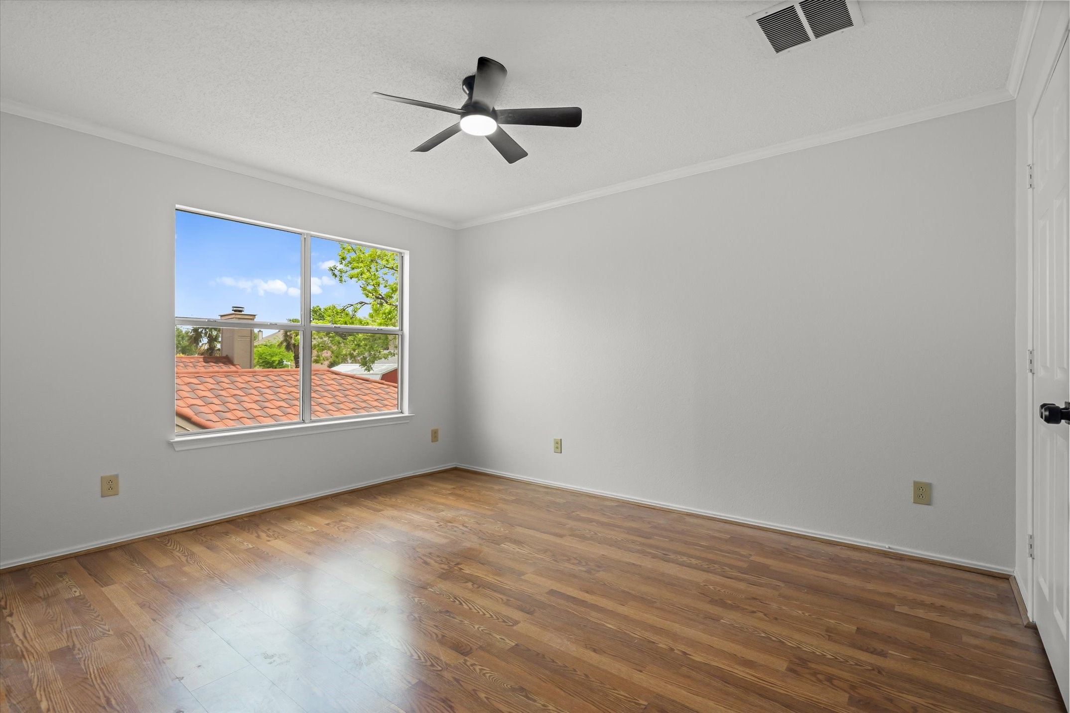 1116 Buckeye Drive