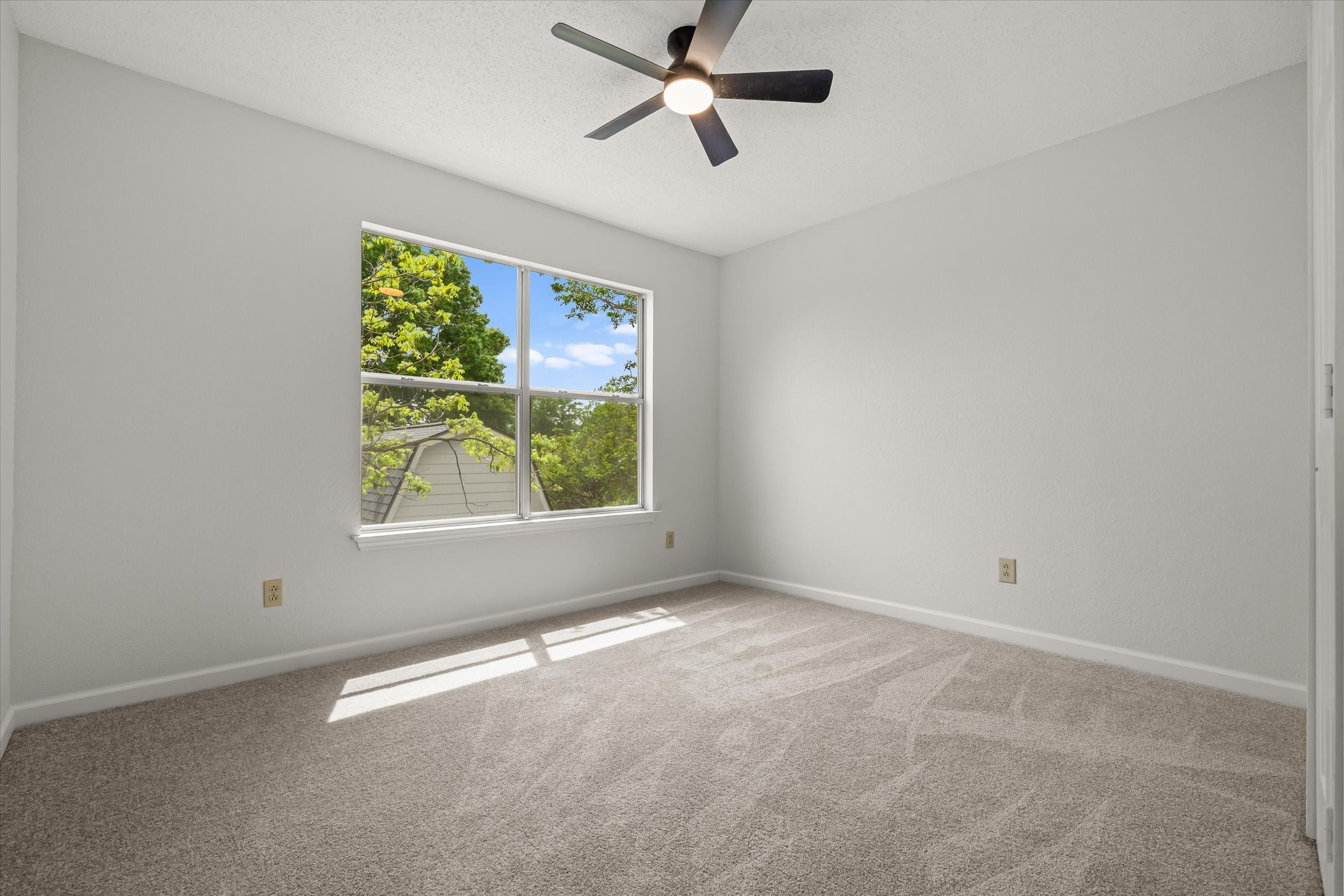 1116 Buckeye Drive