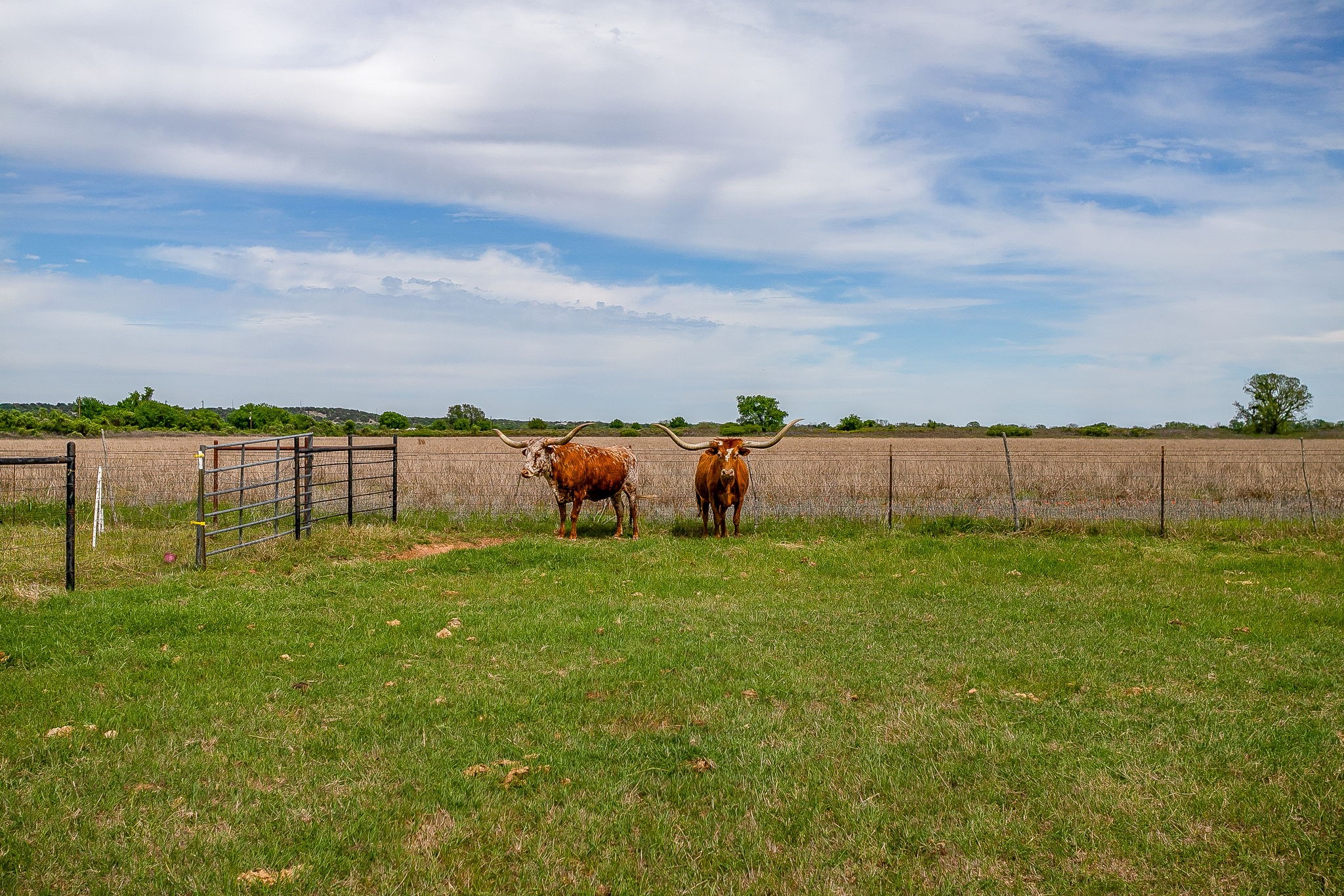 5520 Big Valley Circle