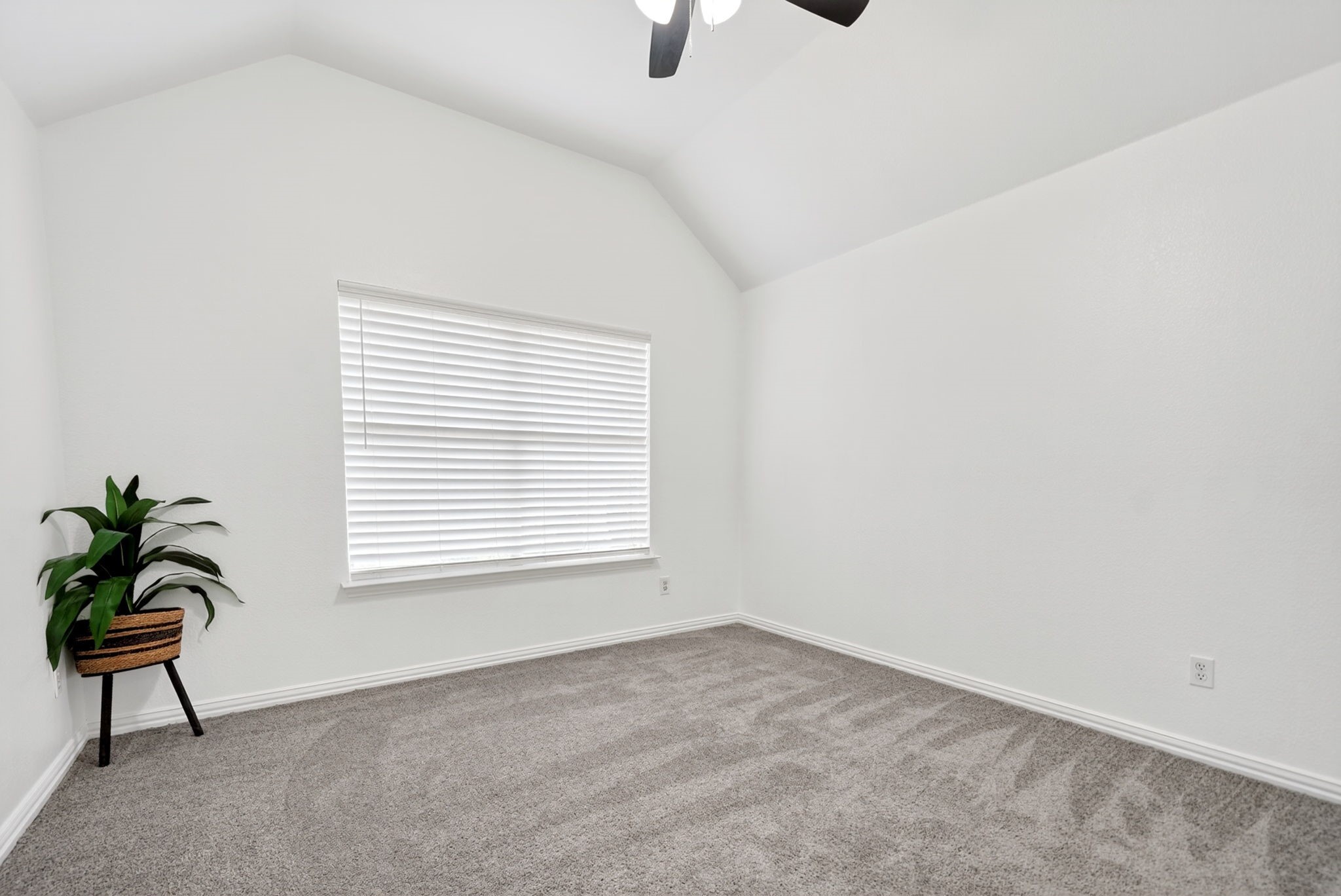 8310 Sawgrass Lane