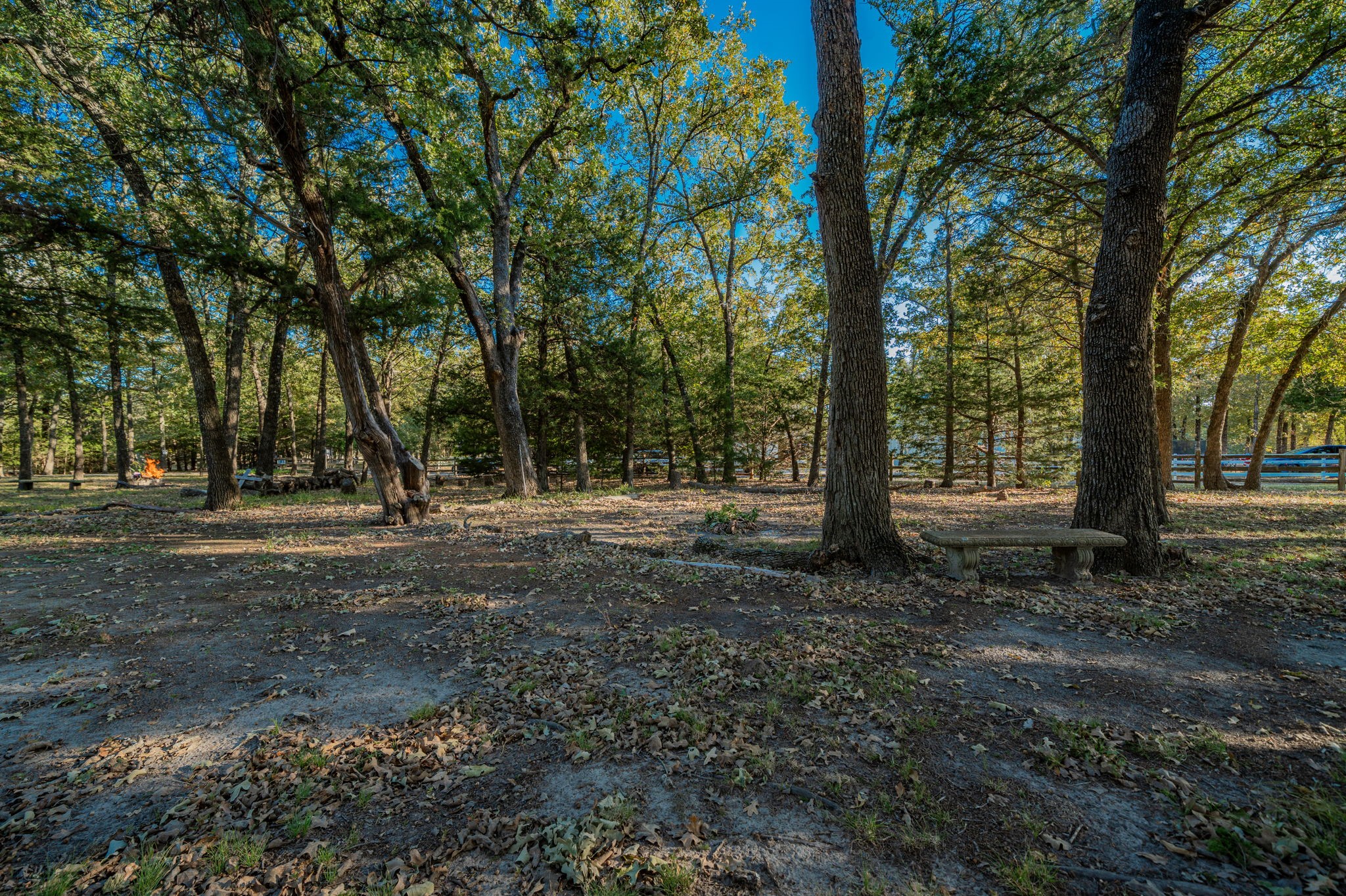 181 Vz County Road 3528