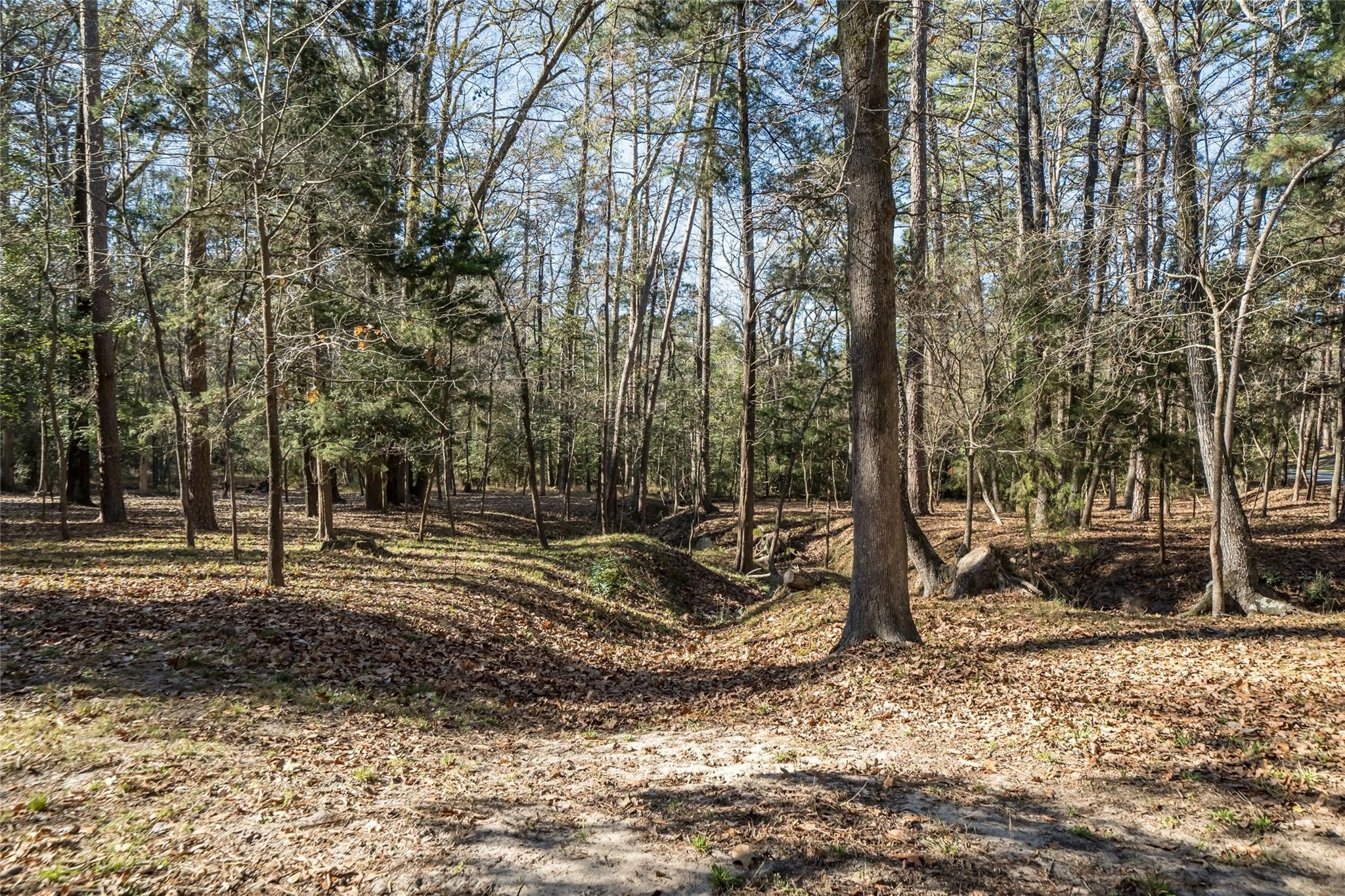 143 Winding Trail