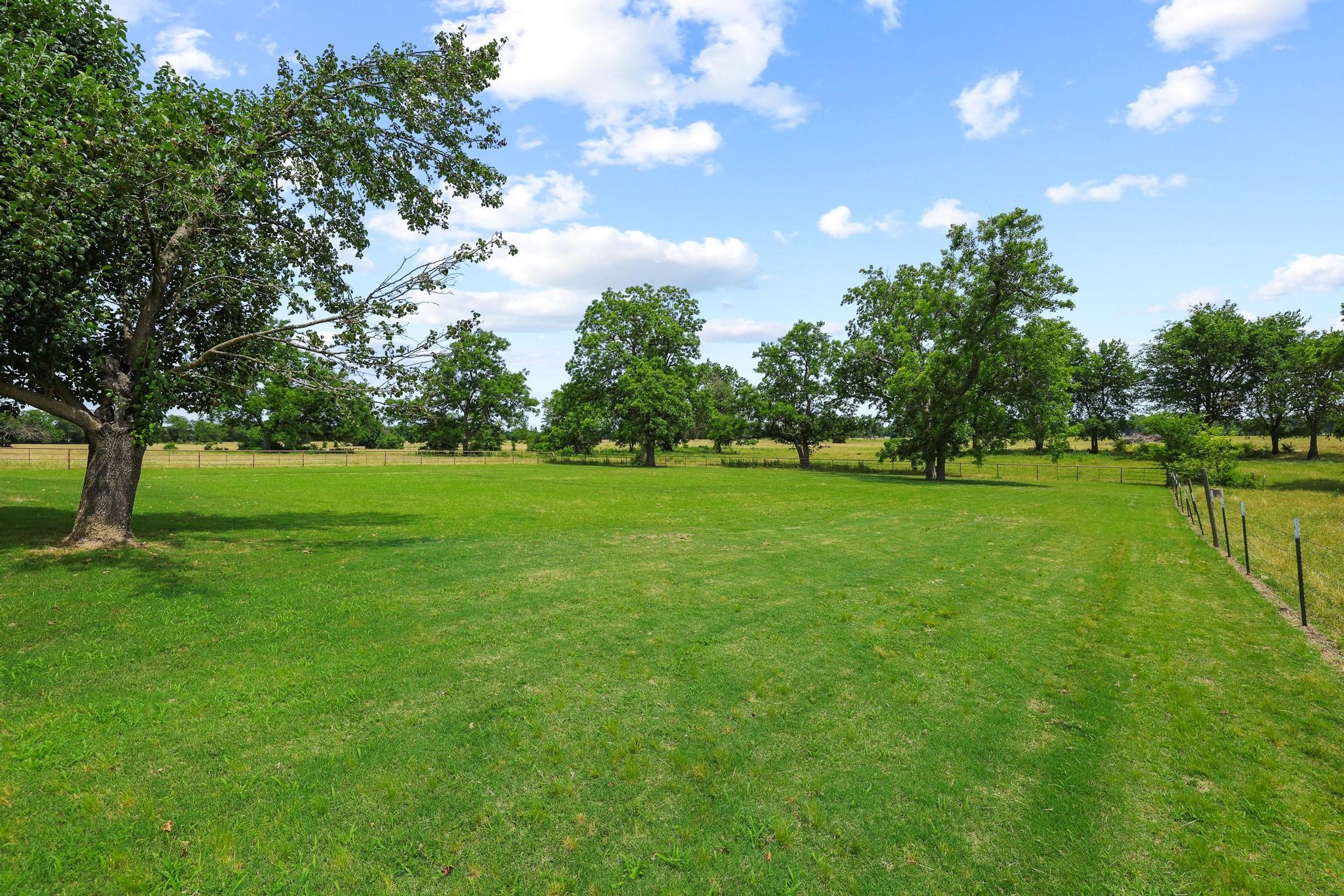 3140 Farm Road 195