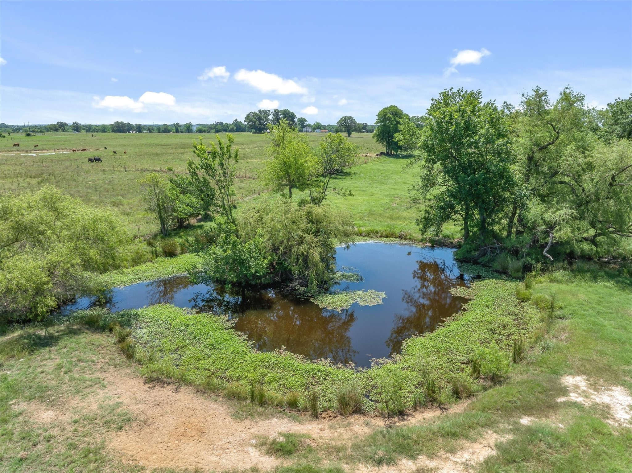 1026 Vz County Road 2115