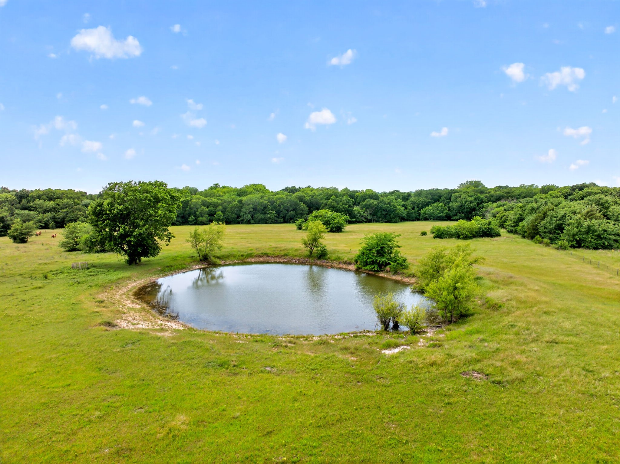994 County Road 3925