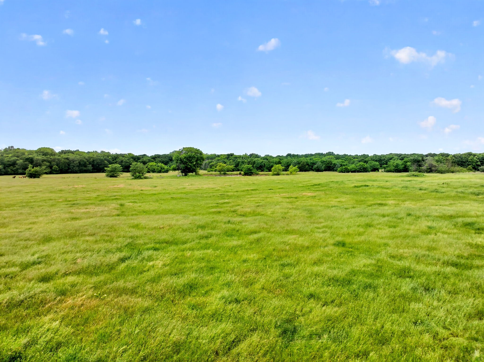 994 County Road 3925