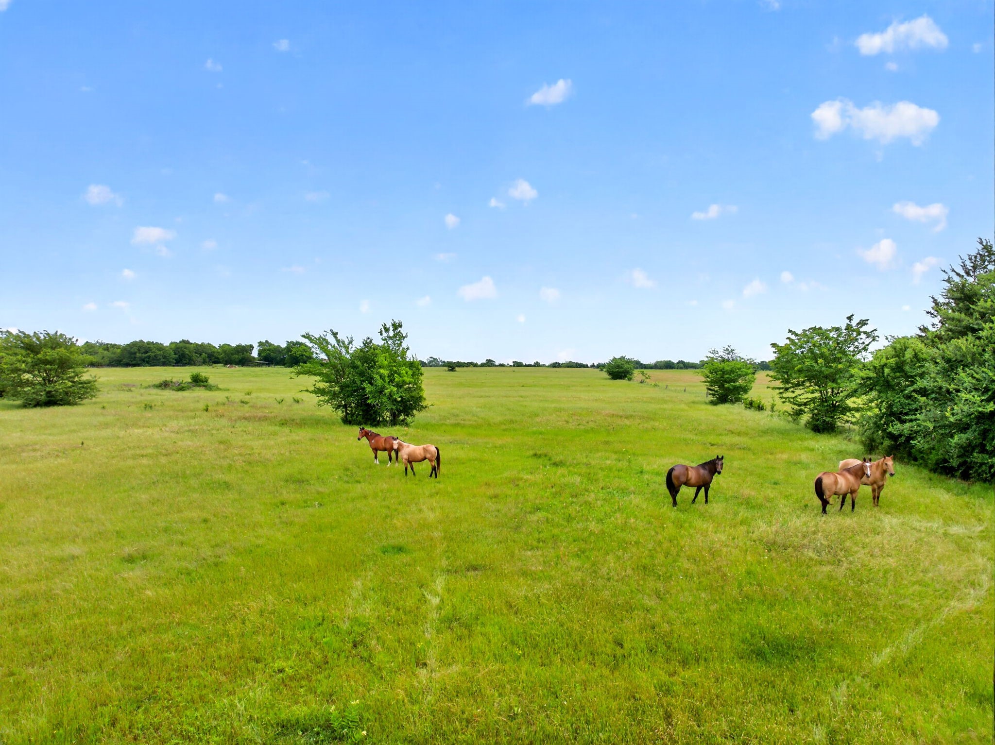 994 County Road 3925