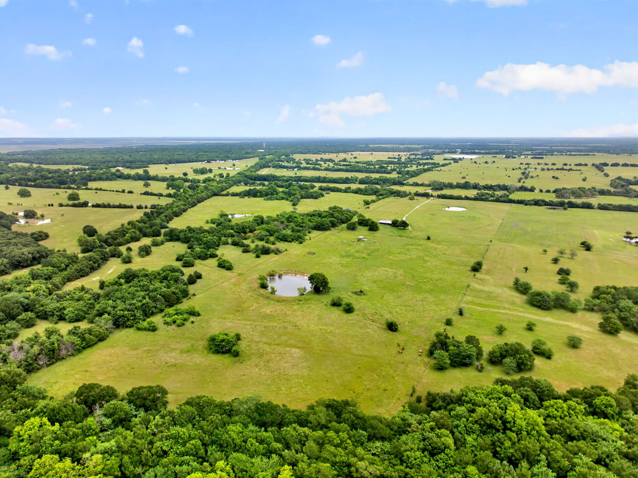 994 County Road 3925