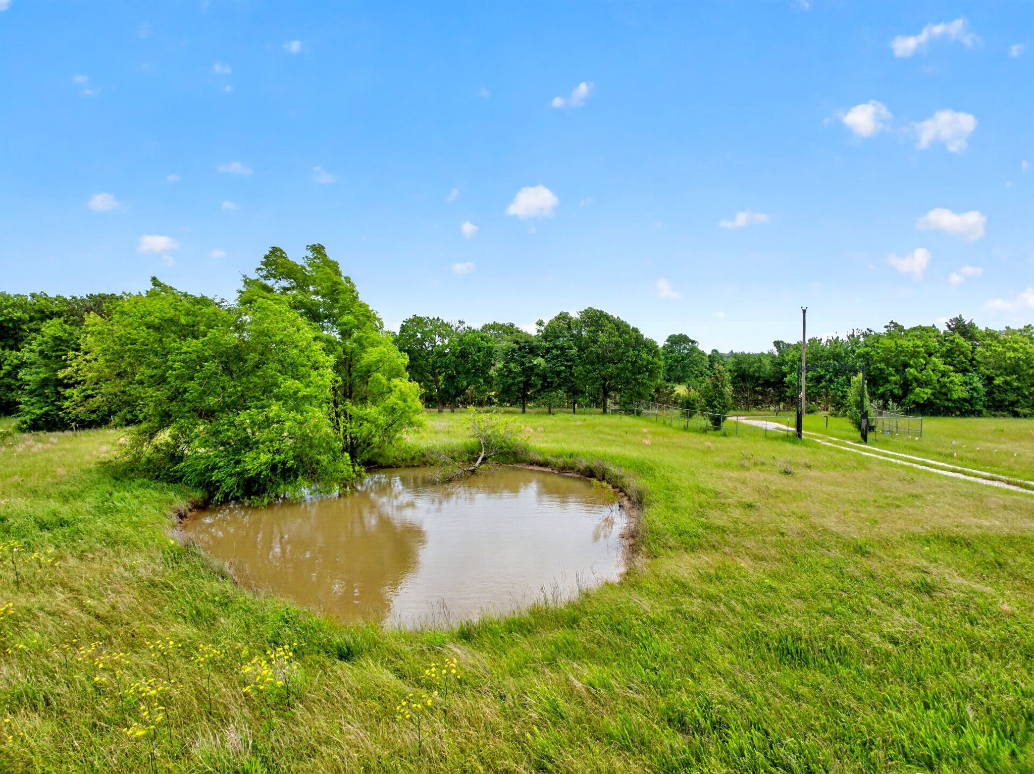 994 County Road 3925