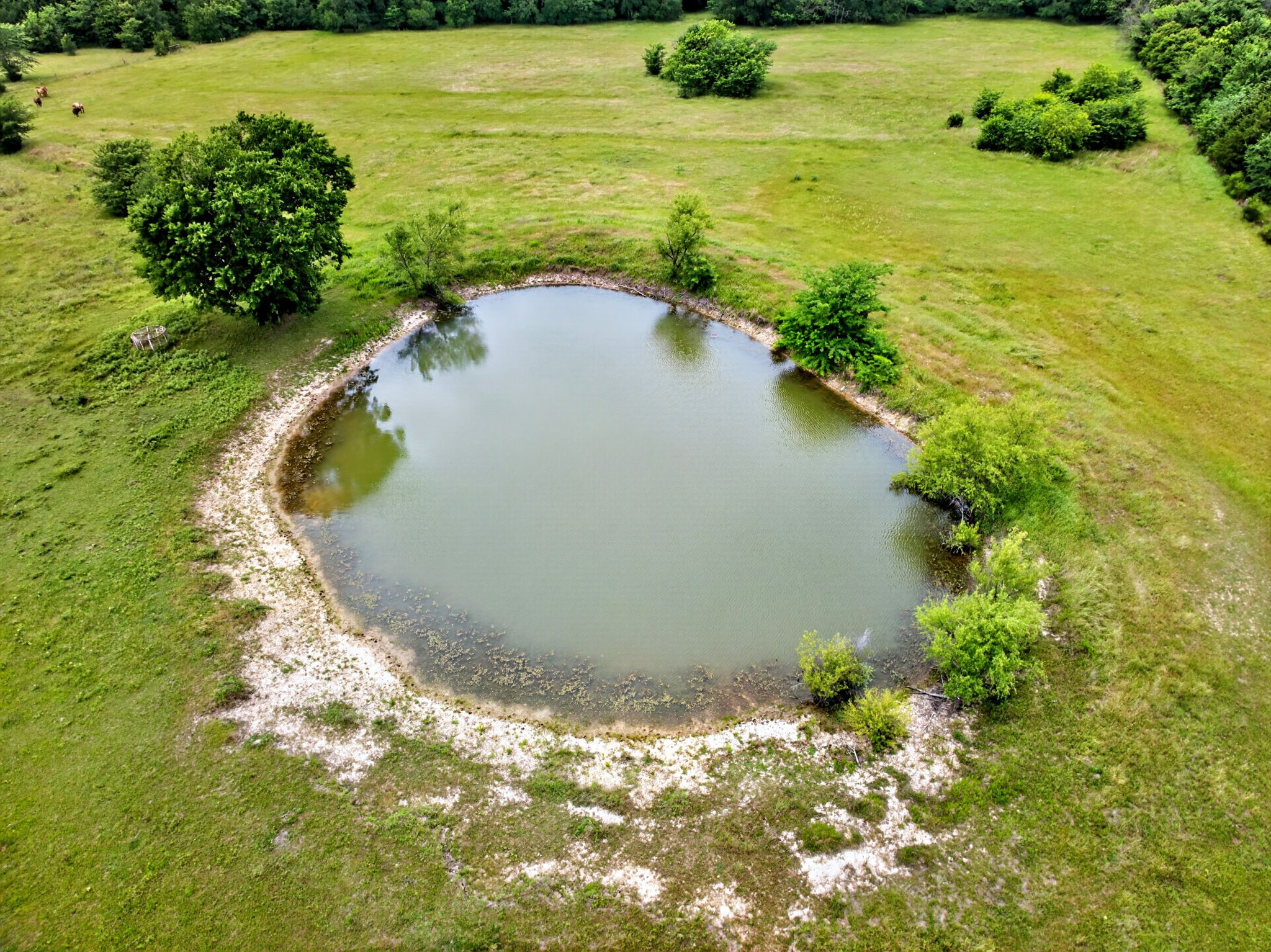 994 County Road 3925