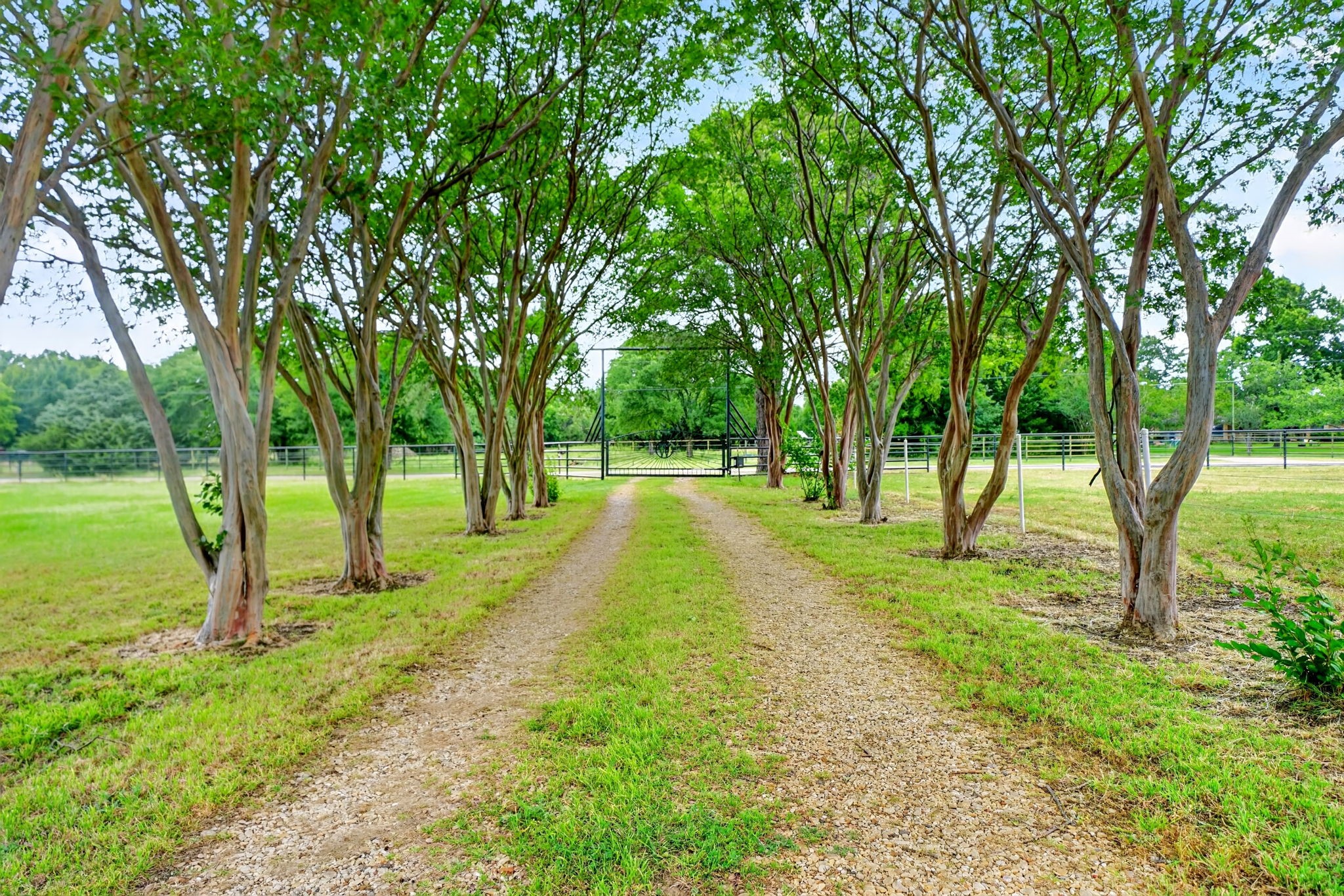 1401 Vz County Road 3411