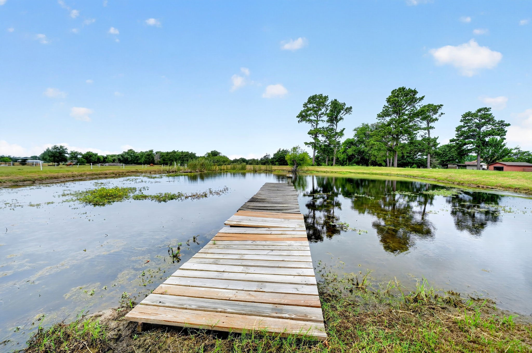 1401 Vz County Road 3411