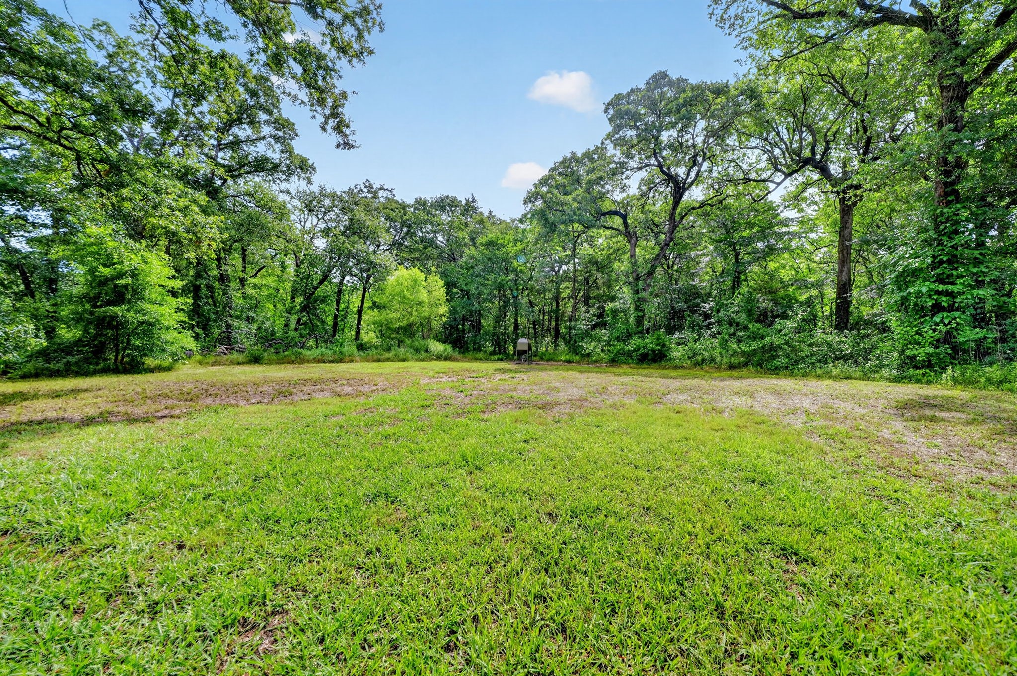 13050 County Road 4016
