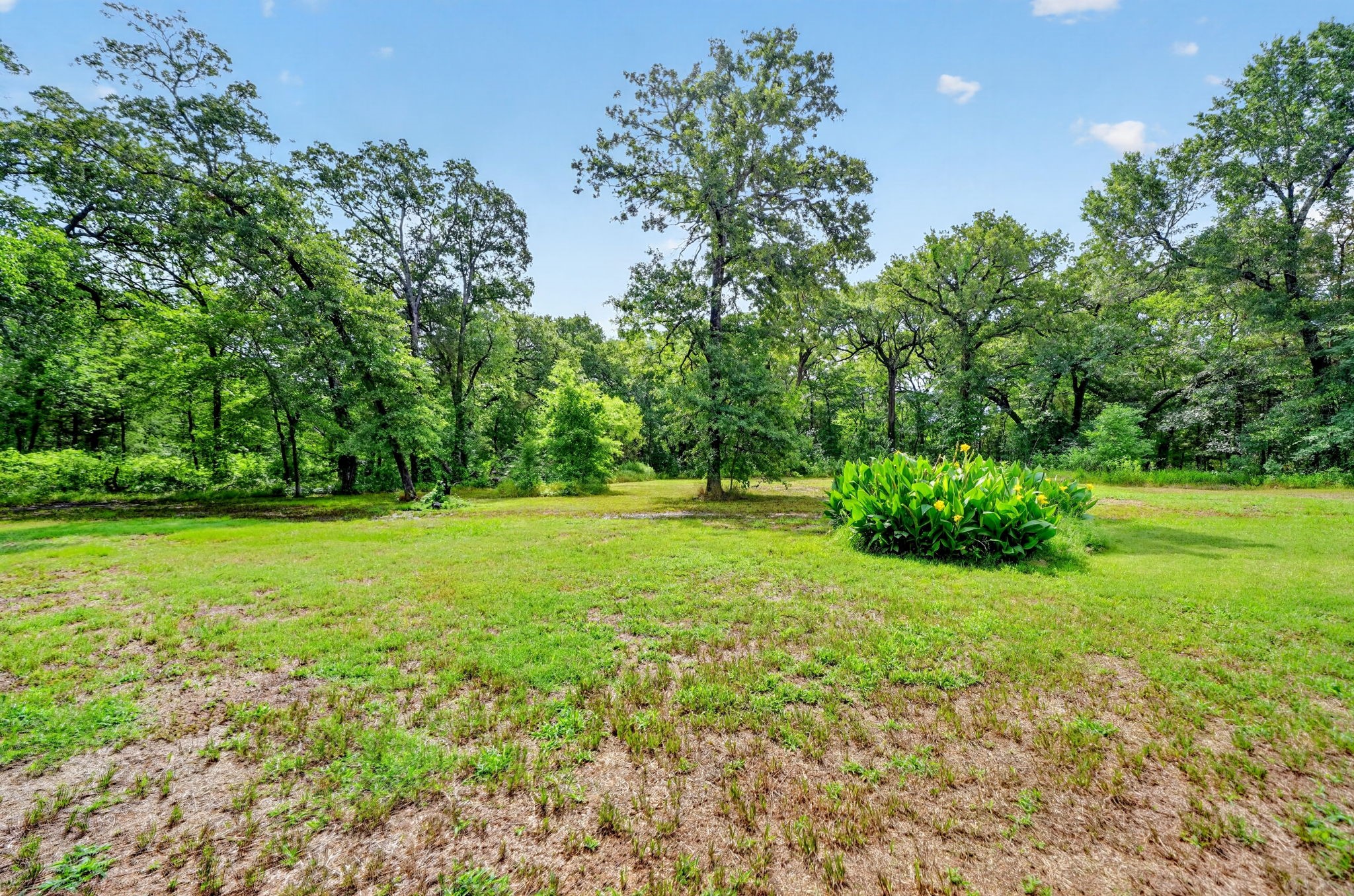 13050 County Road 4016