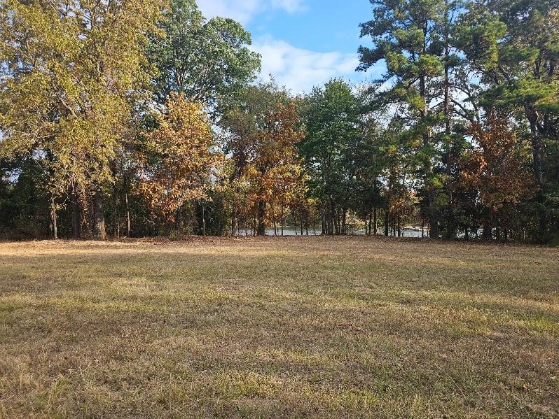 Lot 75 Pr 2712