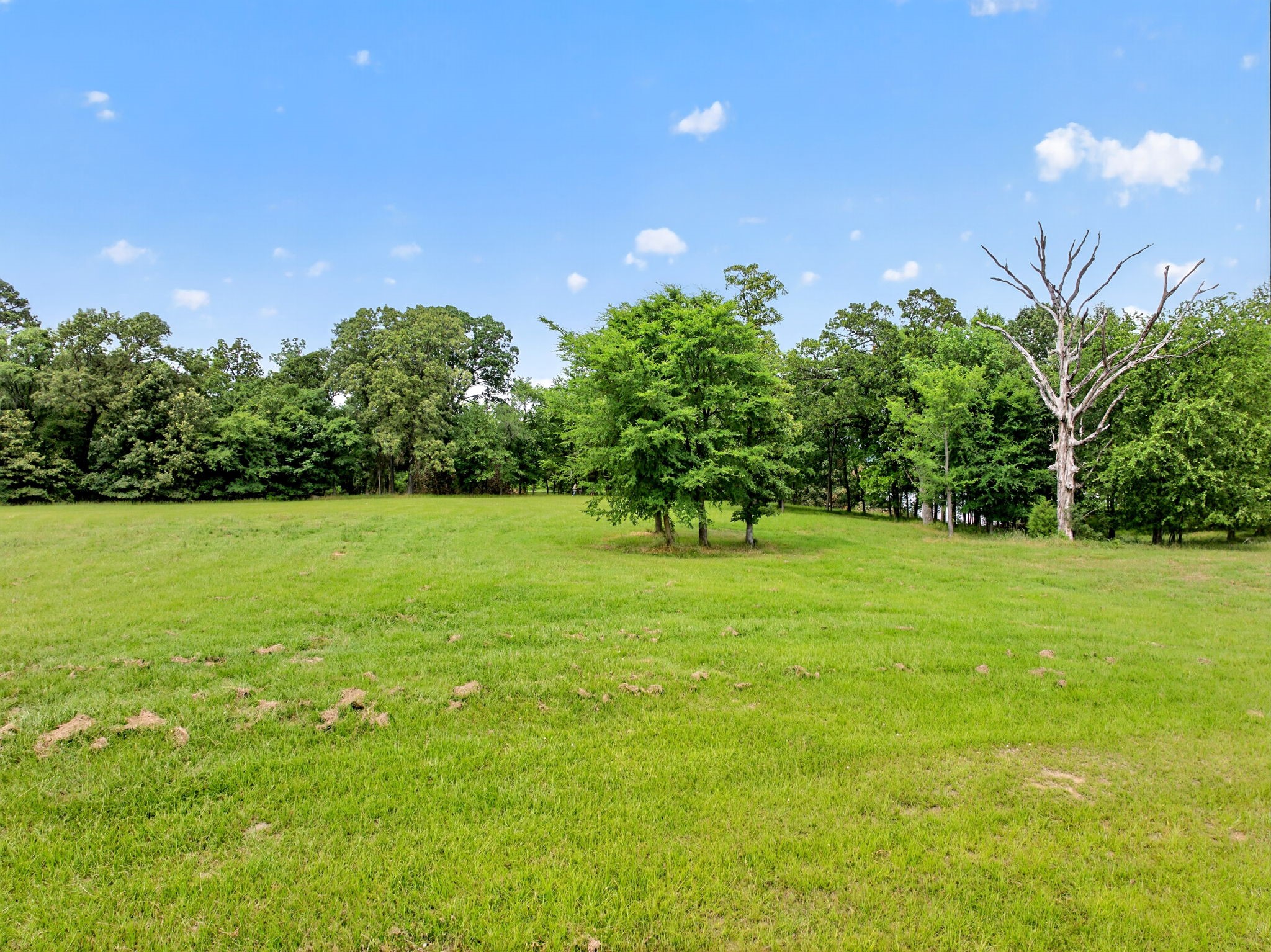 Lot 75 Pr 2712