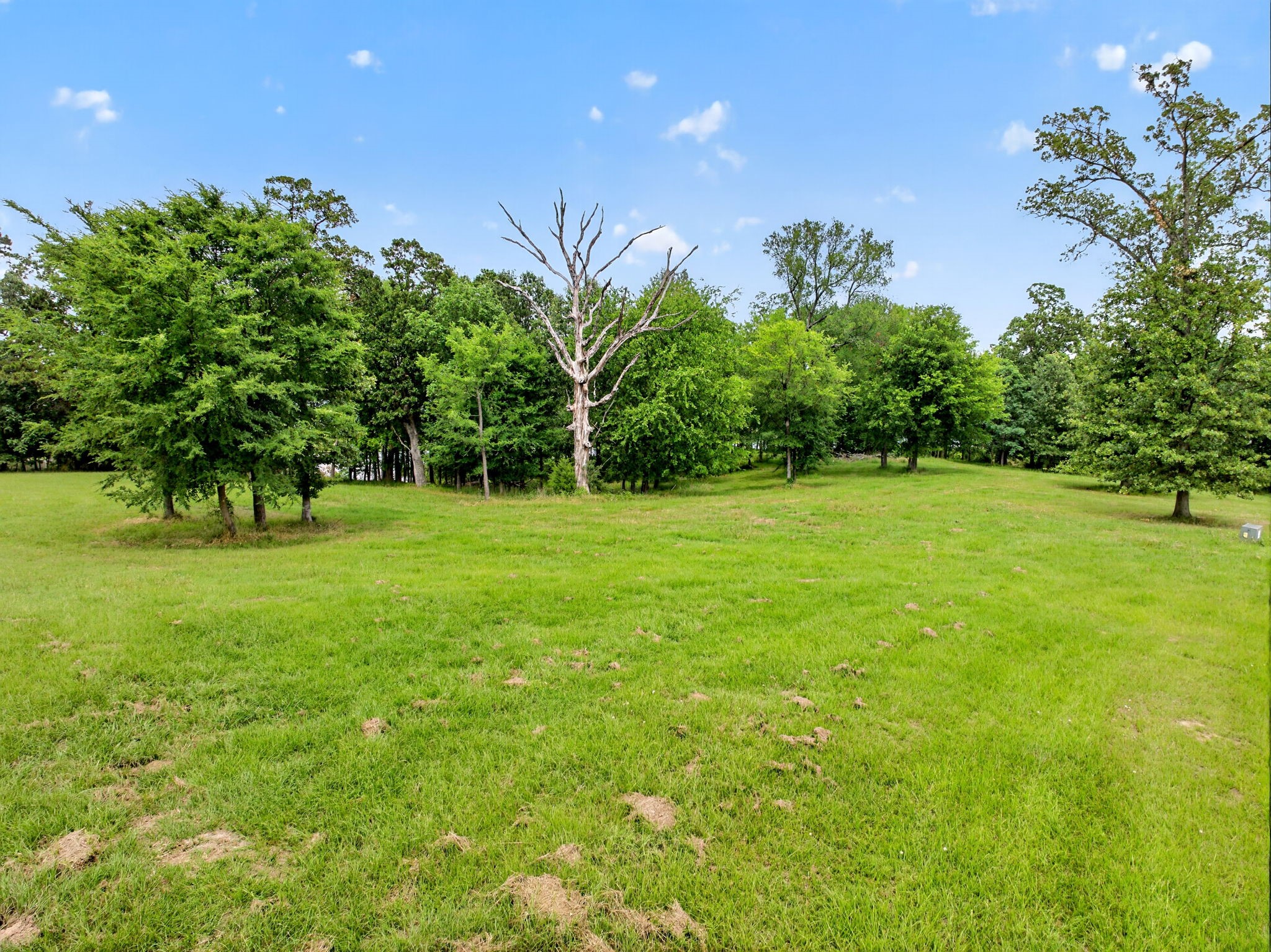Lot 75 Pr 2712