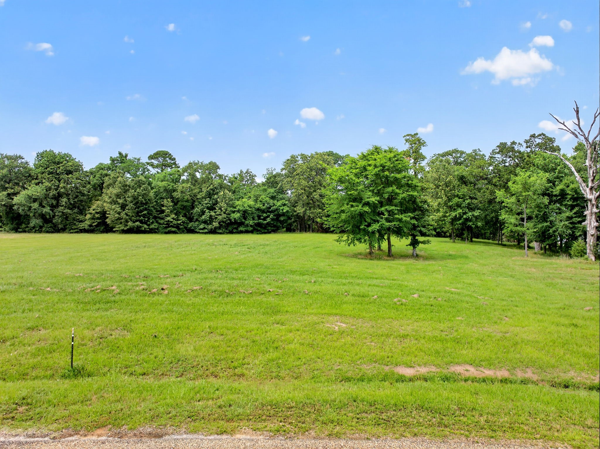 Lot 75 Pr 2712