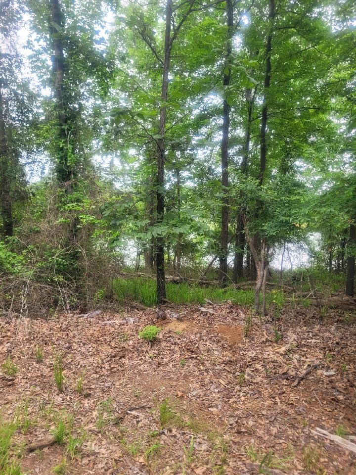 Lot 75 Pr 2712