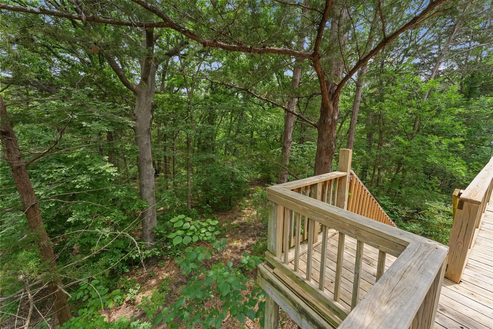 202 Fox Hollow
