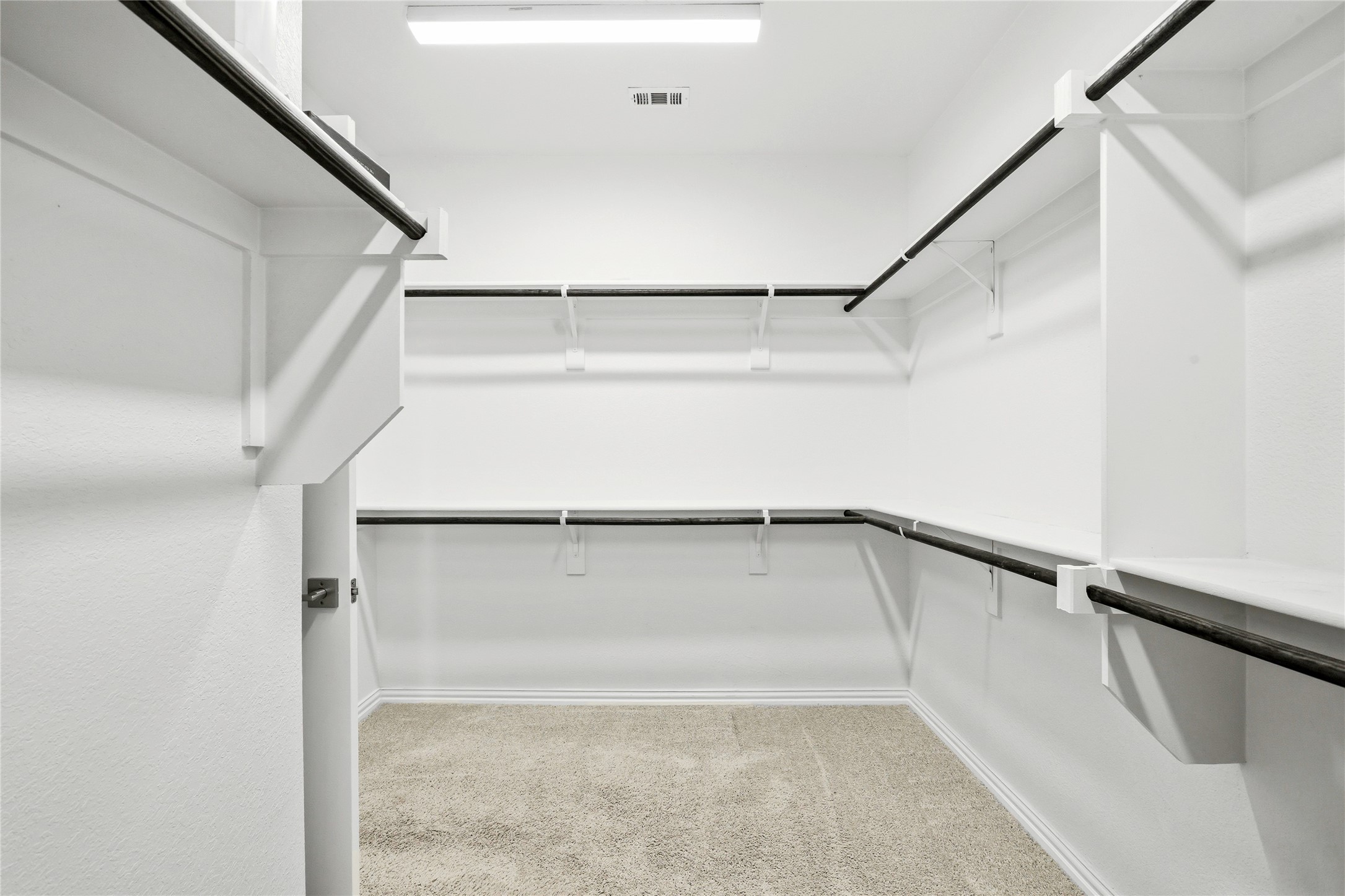3515 Paintbrush Path