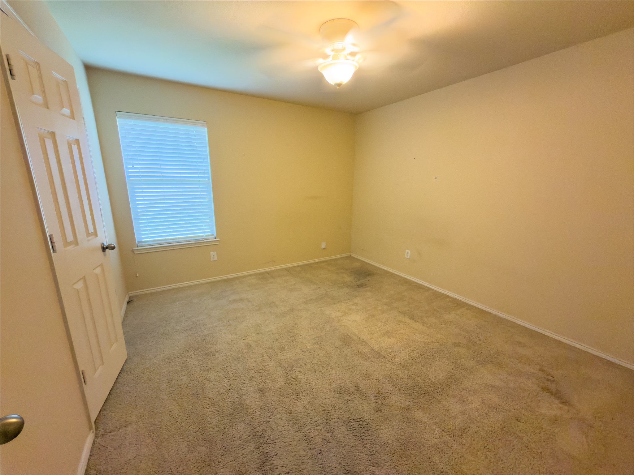 517 Blue Sage Drive