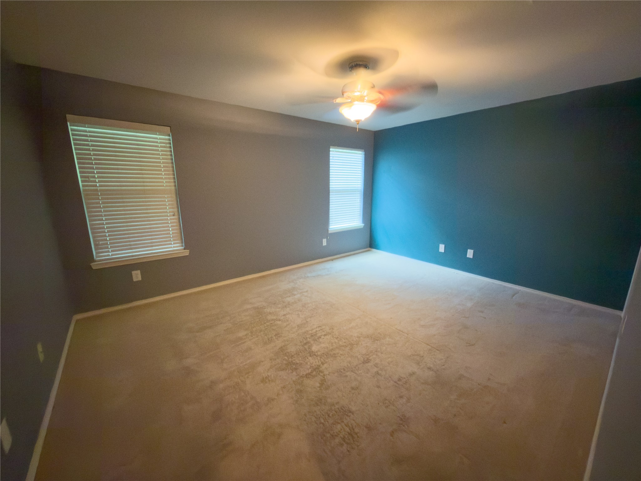 517 Blue Sage Drive