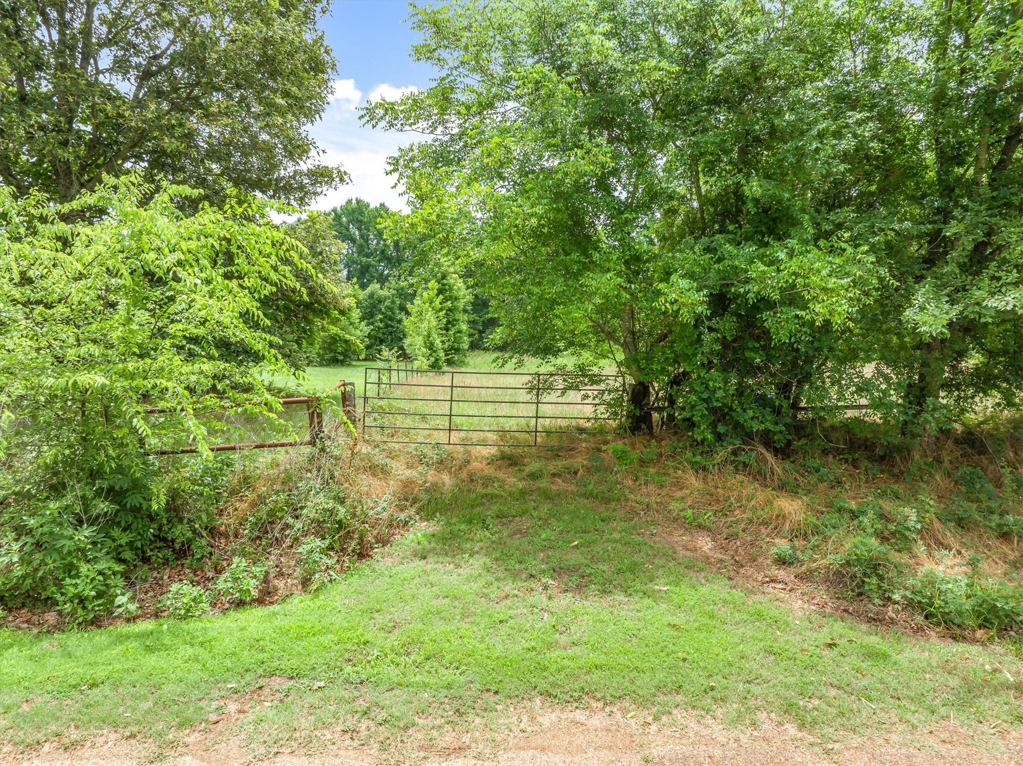 283 VZ County RD 4109
