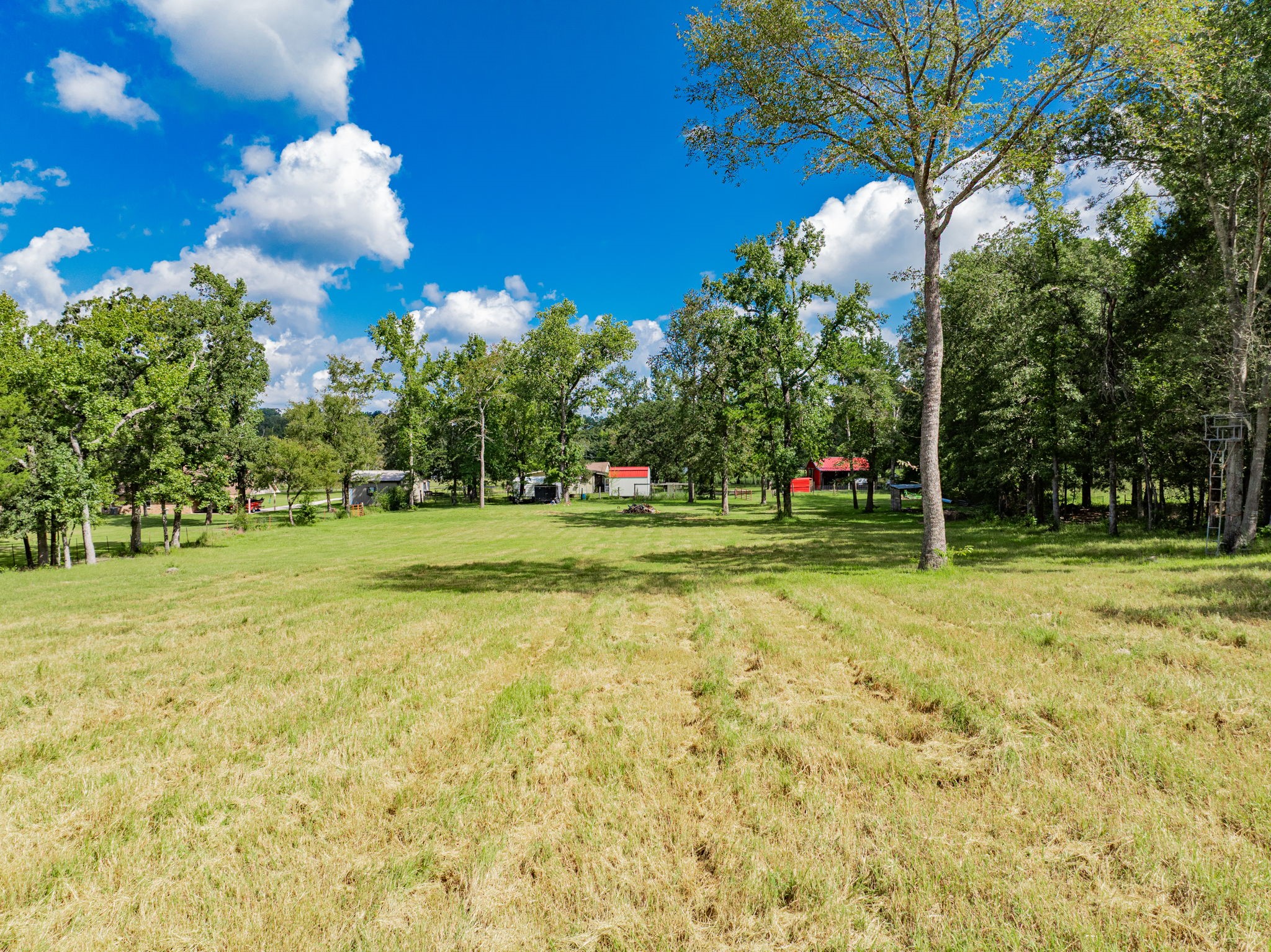 815 VZ County Road 4409