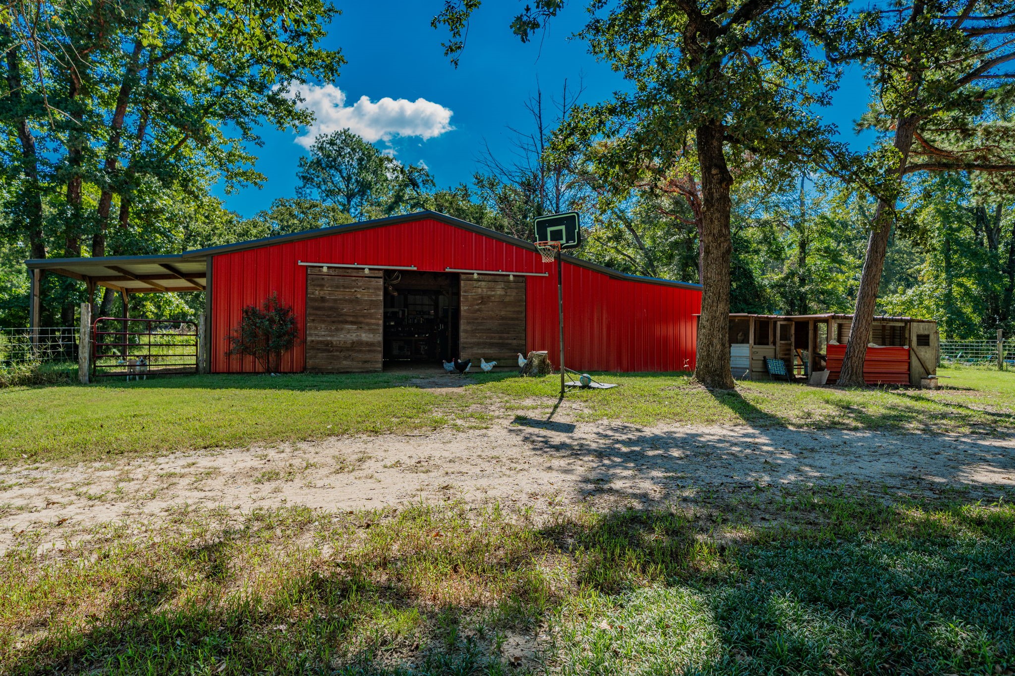 815 VZ County Road 4409
