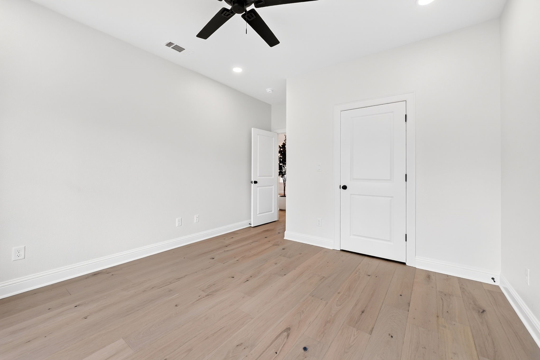 301 Grace Lane