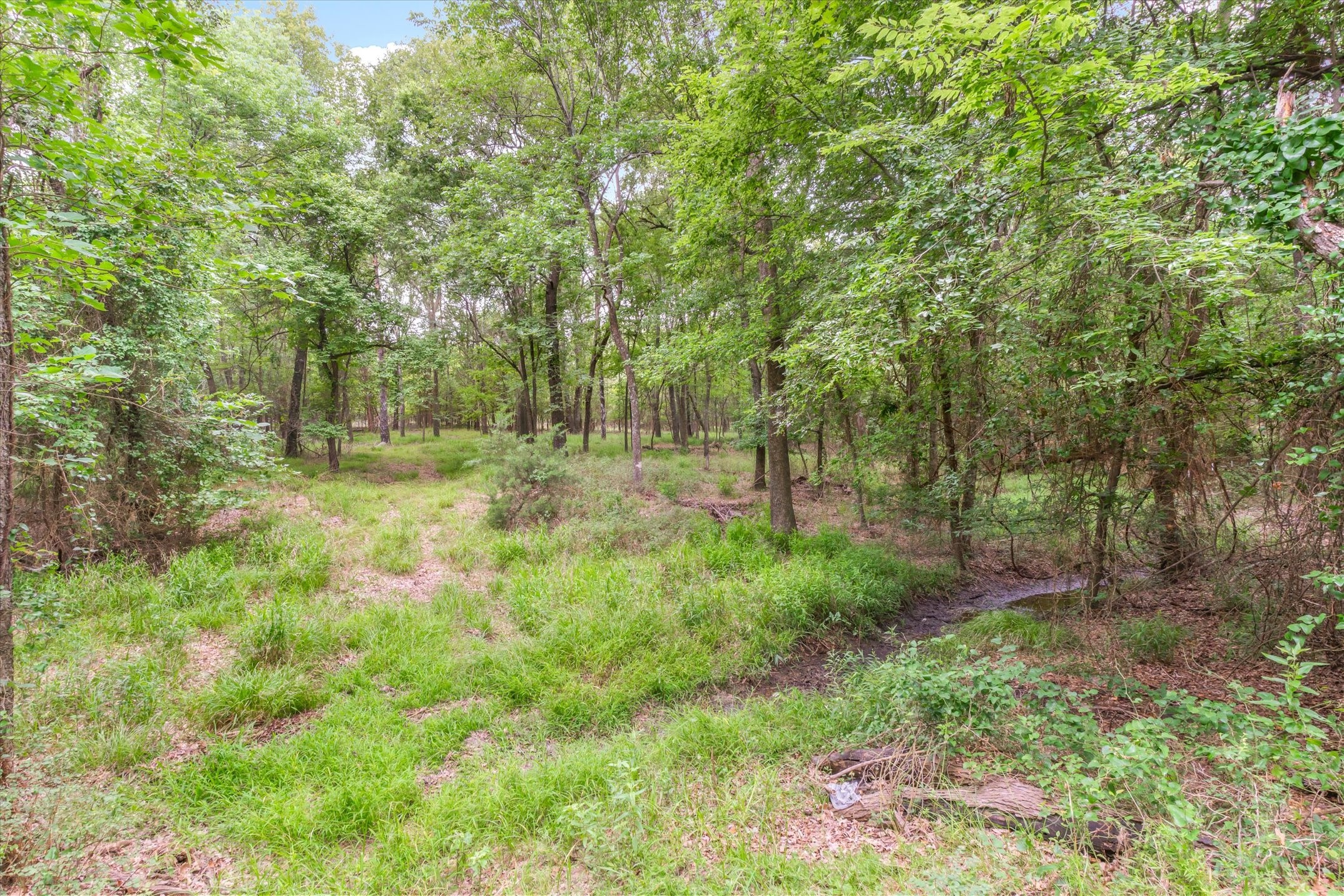 9556 County Road 2400