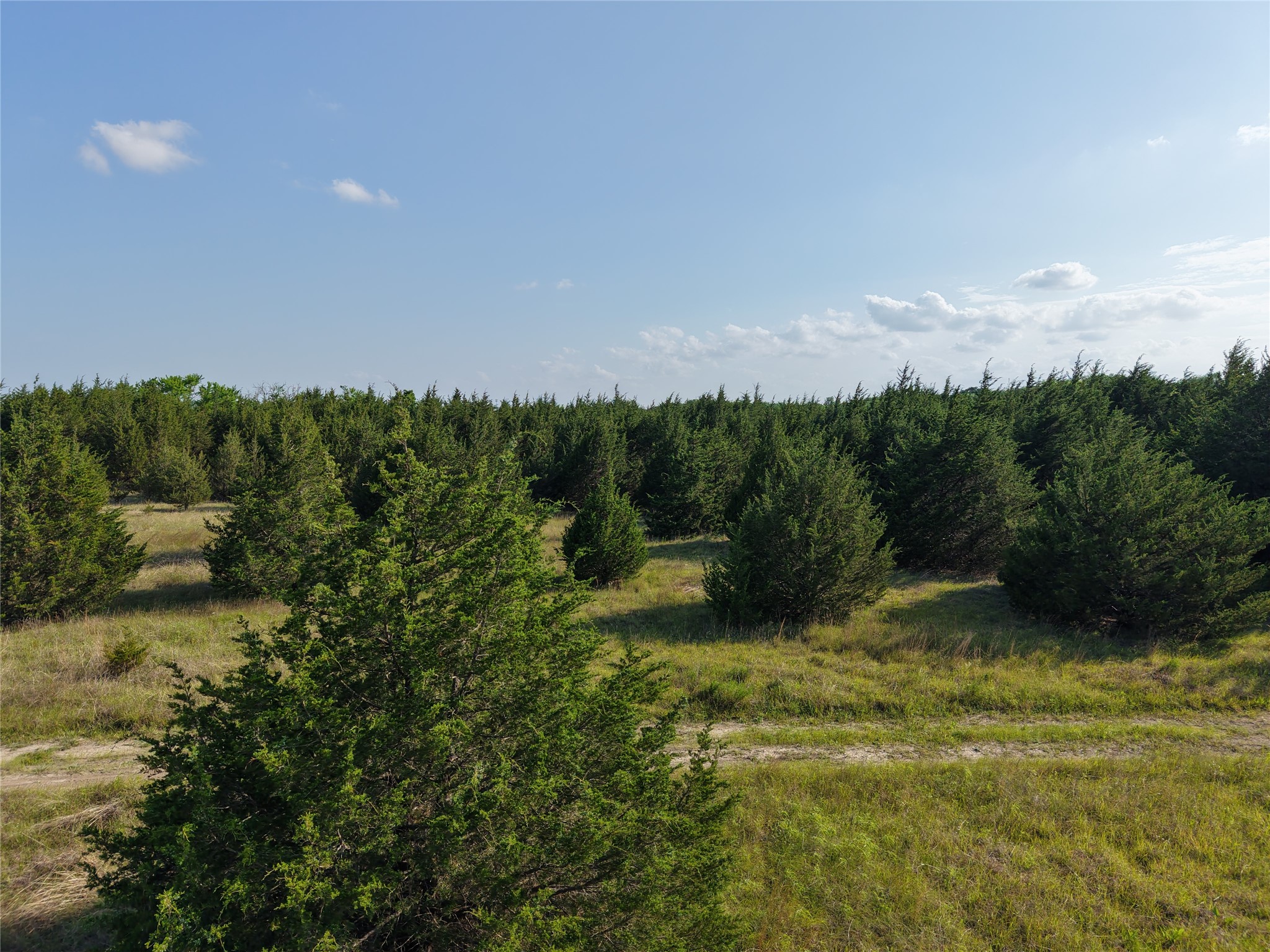 654 N FM 36 Lot 4