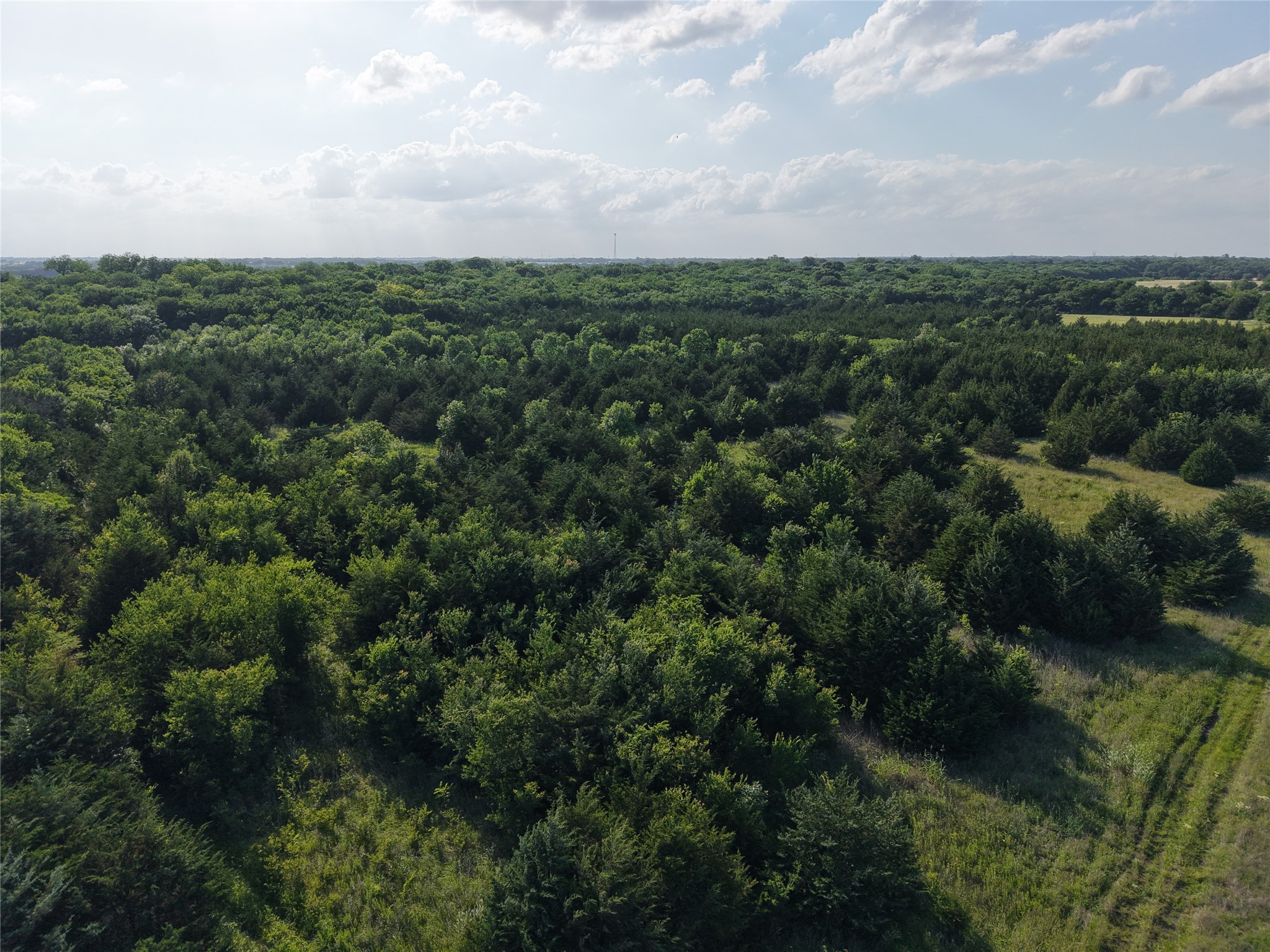654 N FM 36 Lot 4
