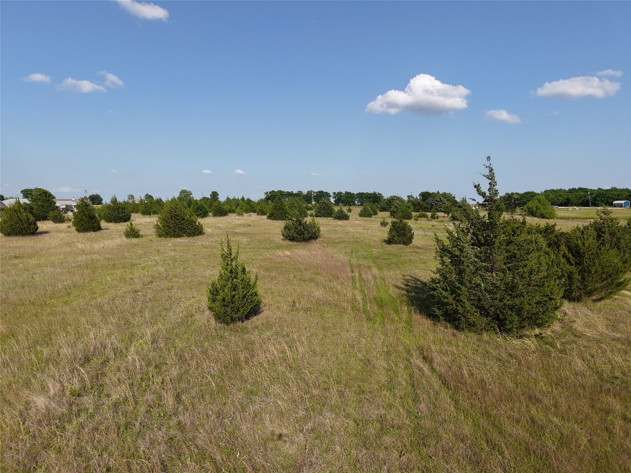 654 N FM 36 Lot 4