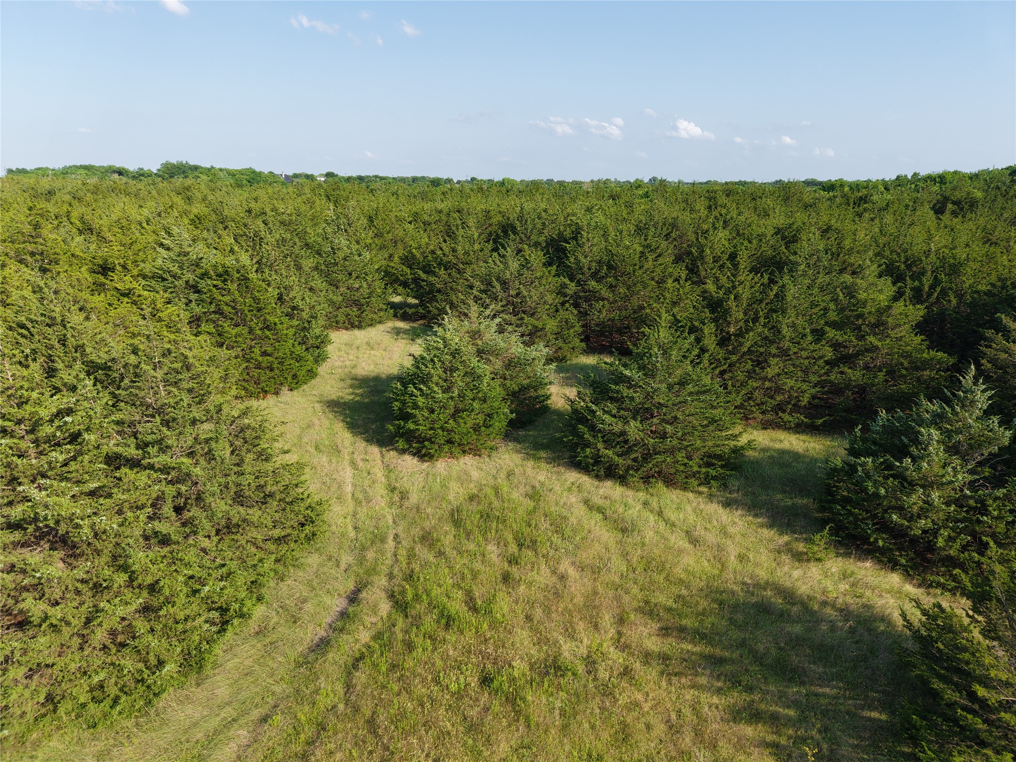 654 N FM 36 Lot 4