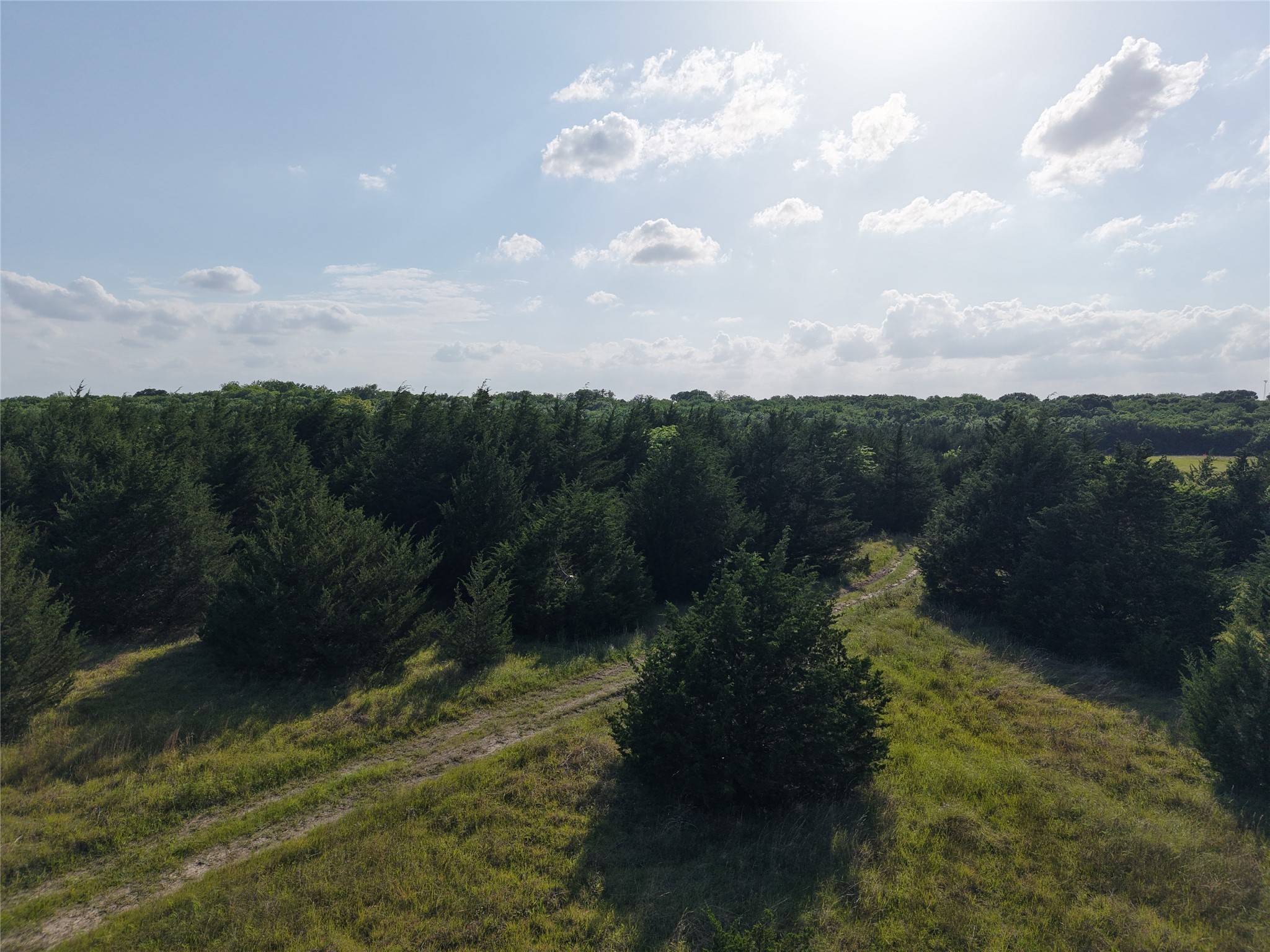 654 N FM 36 Lot 4