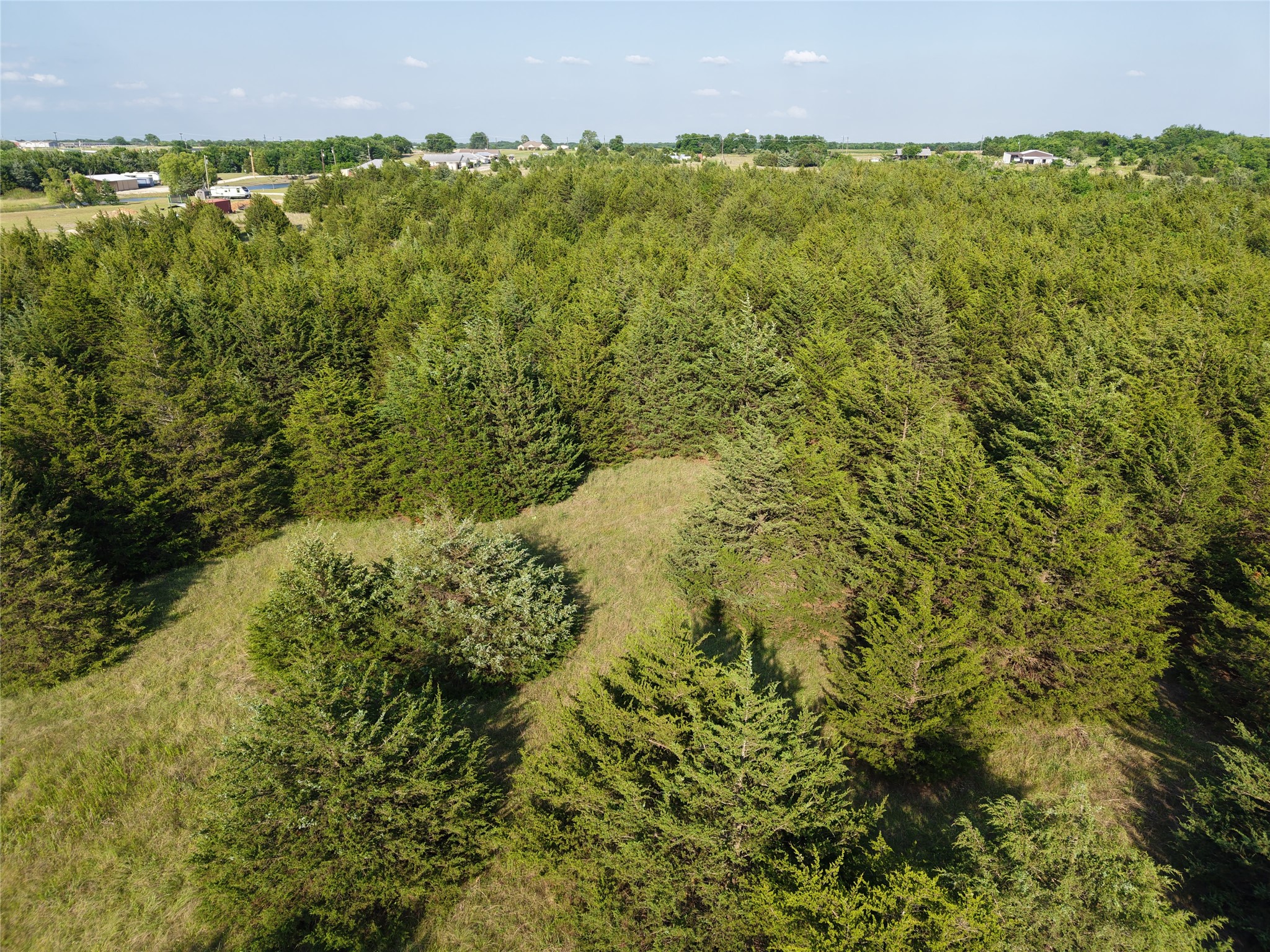 654 N FM 36 Lot 4