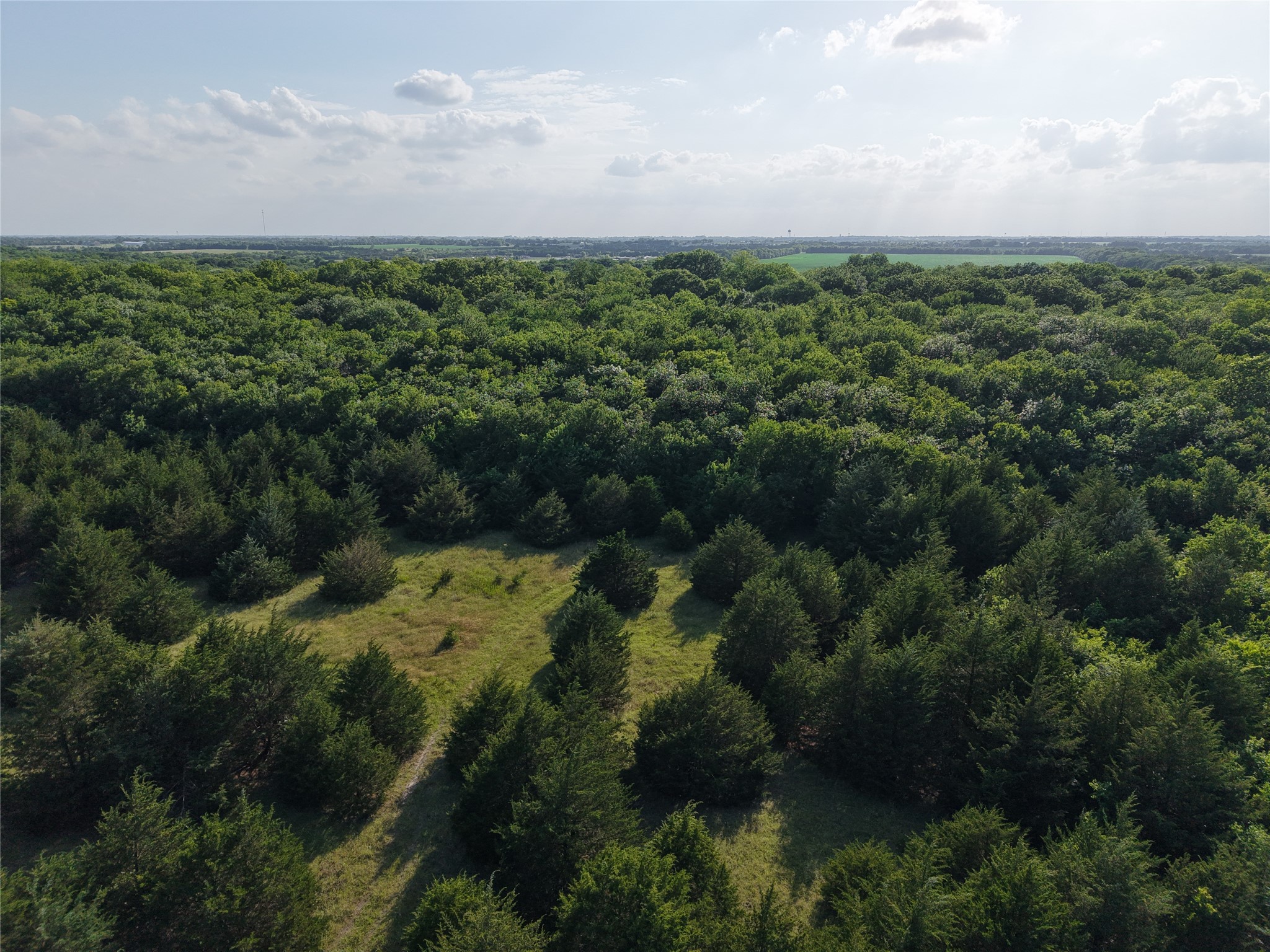 654 N FM 36 Lot 4