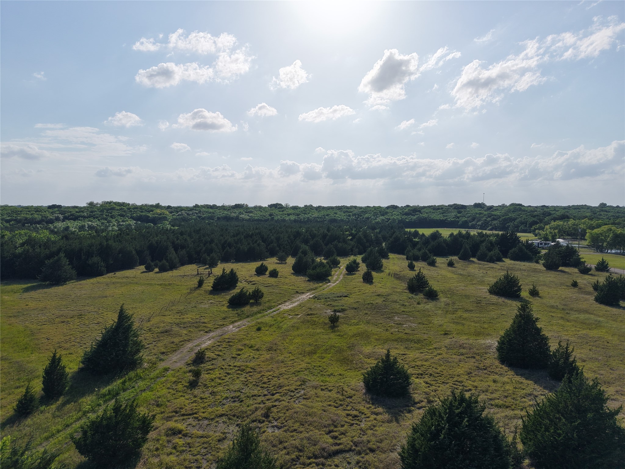 654 N FM 36 Lot 4