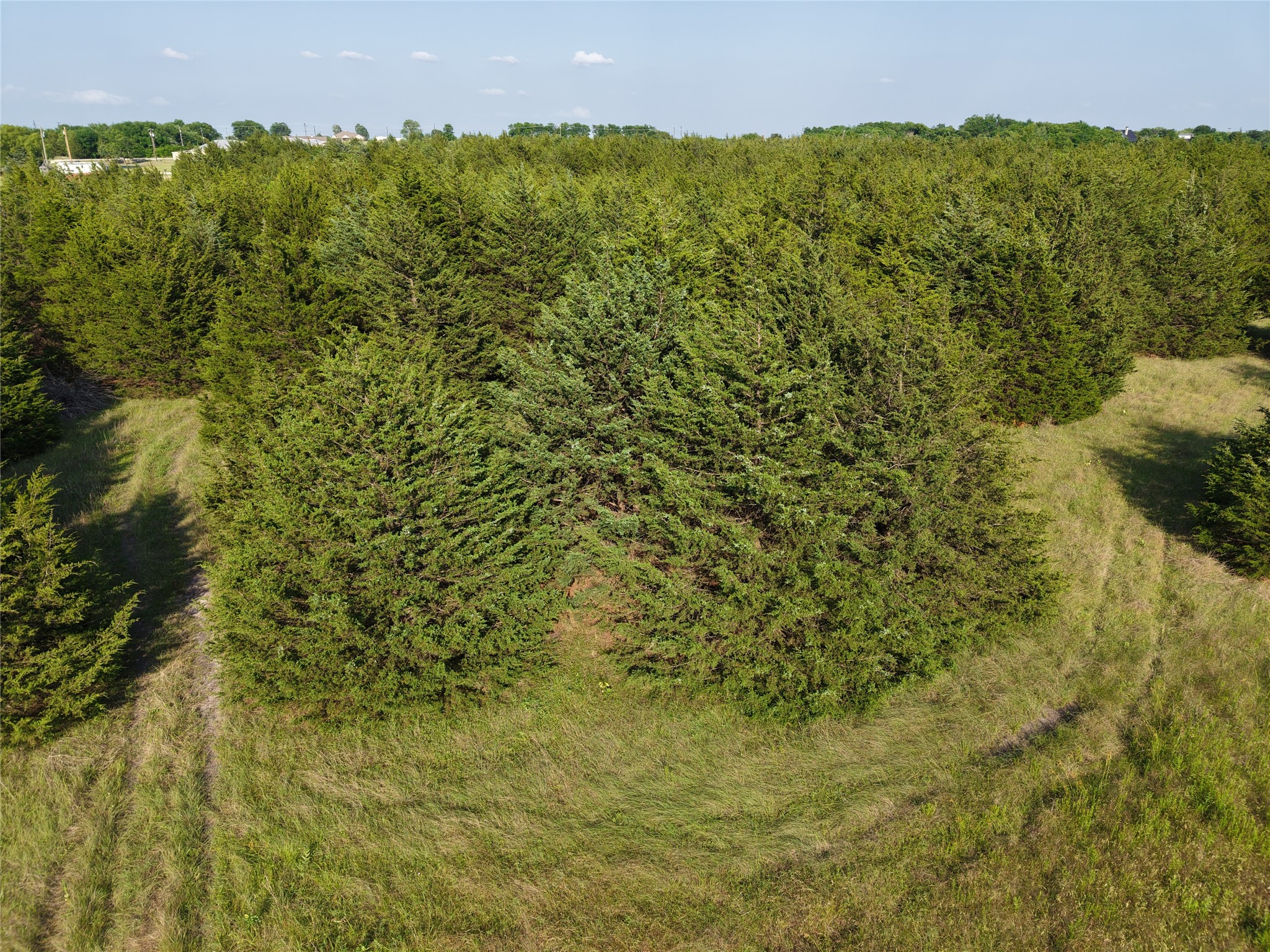 654 N FM 36 Lot 4