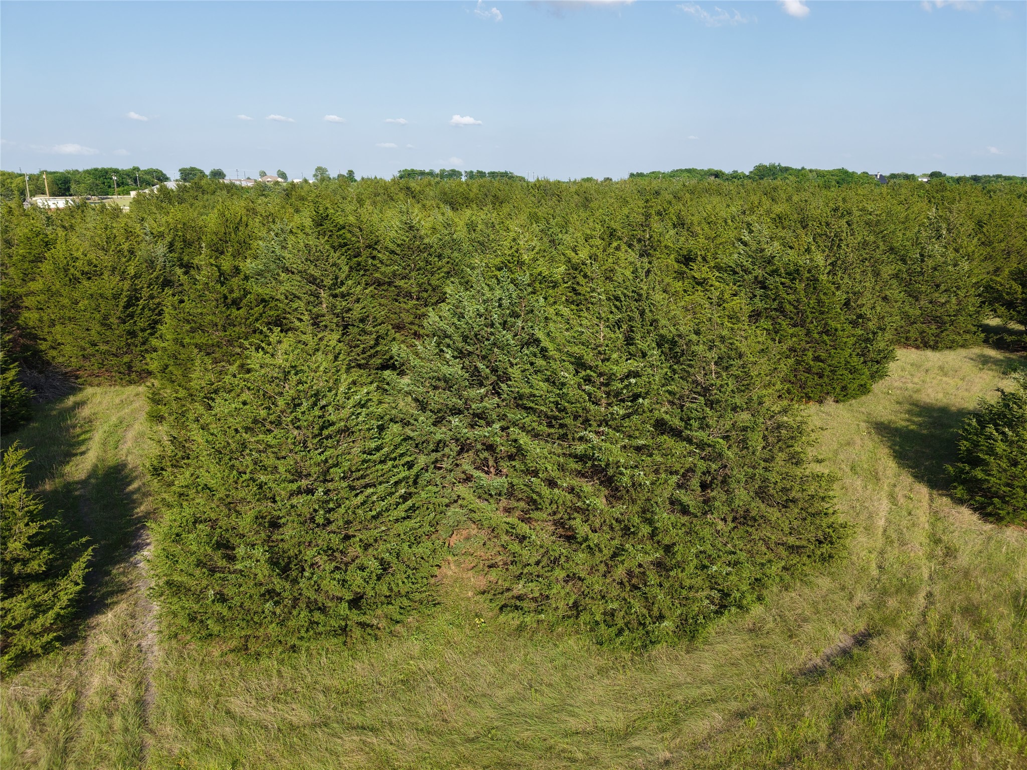 654 N FM 36 Lot 4