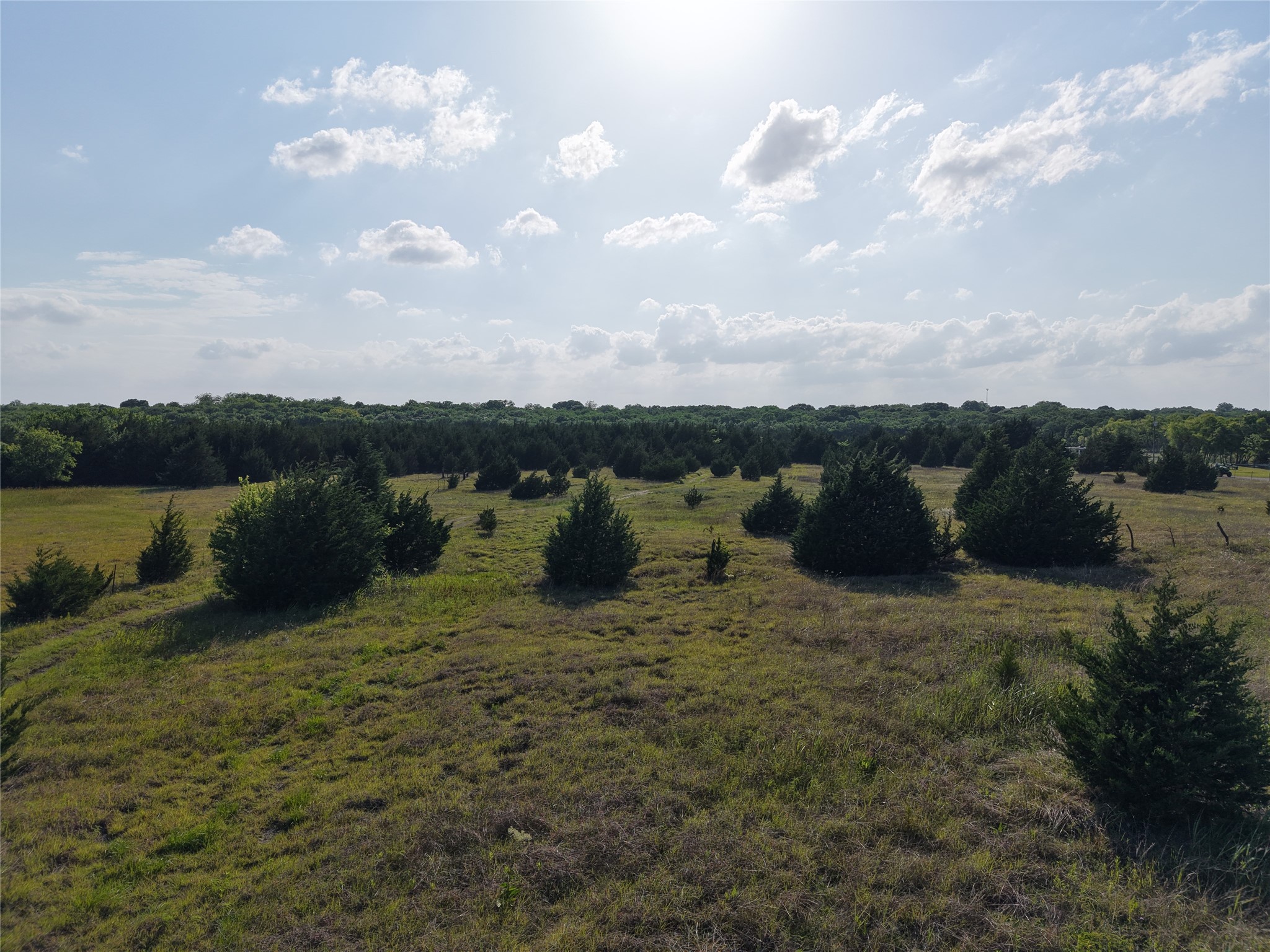 654 N FM 36 Lot 4