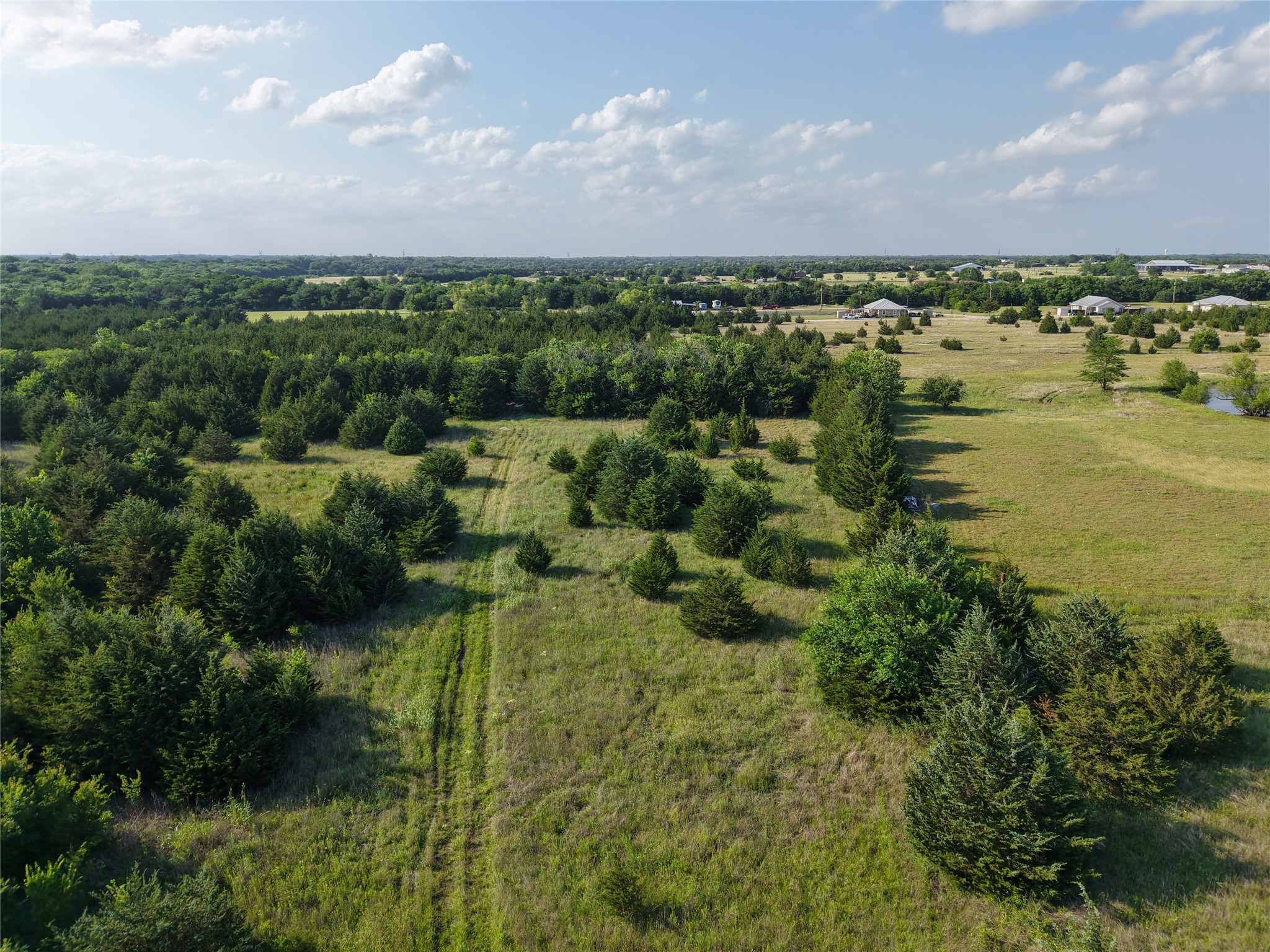 654 N FM 36 Lot 4