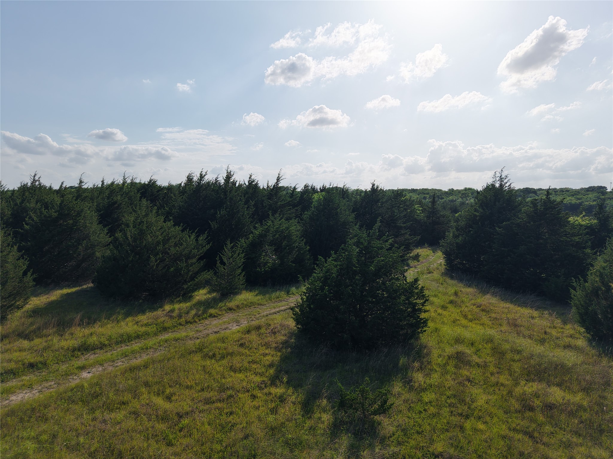 654 N FM 36 Lot 4