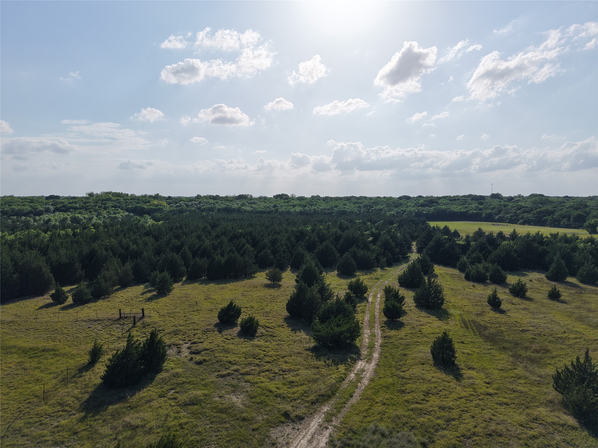 654 N FM 36 Lot 4