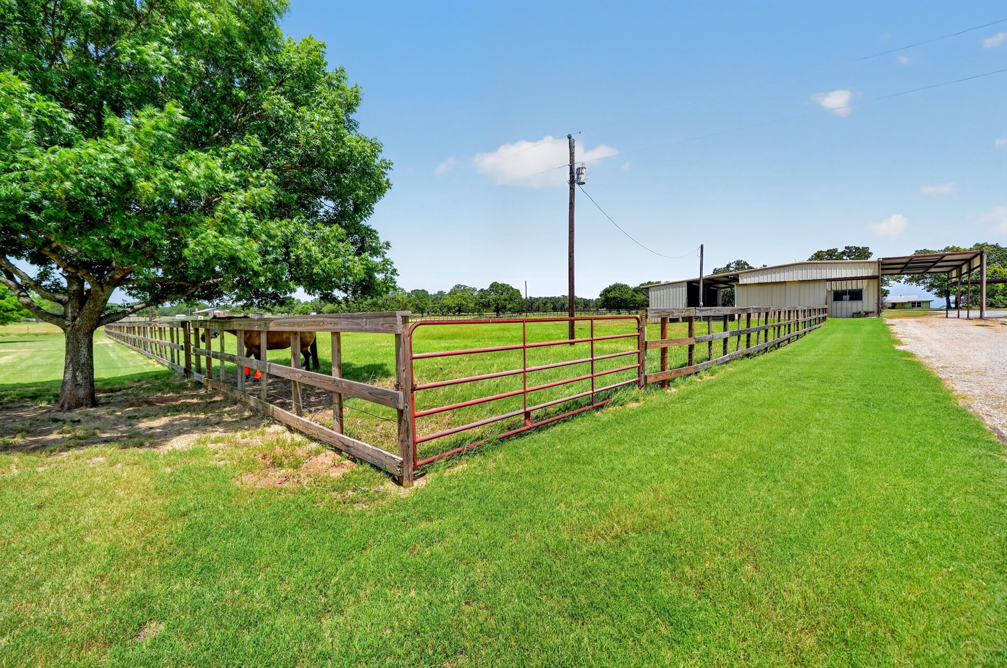 1465 County Road 3690