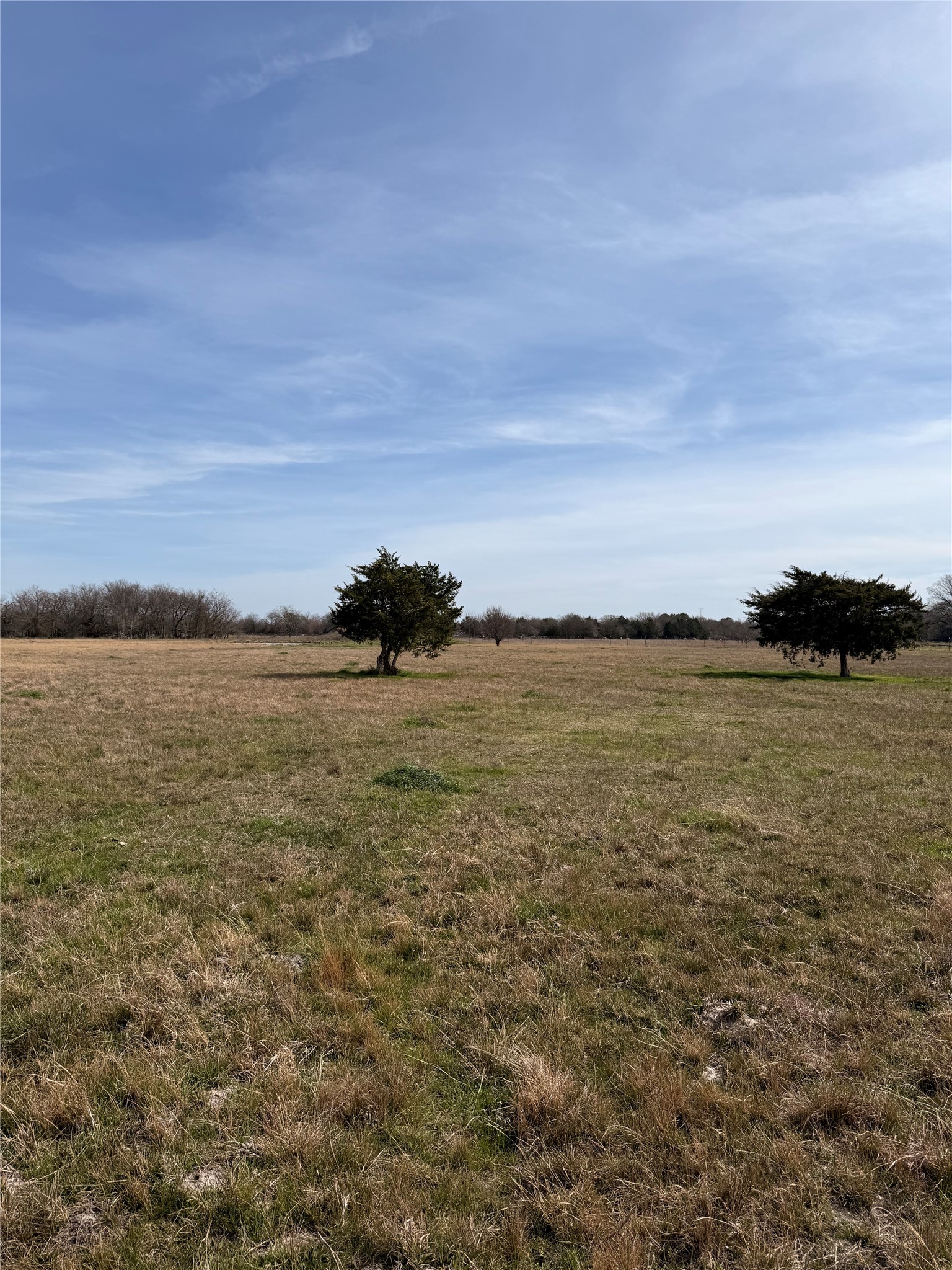 Lot 1 Cr-4043
