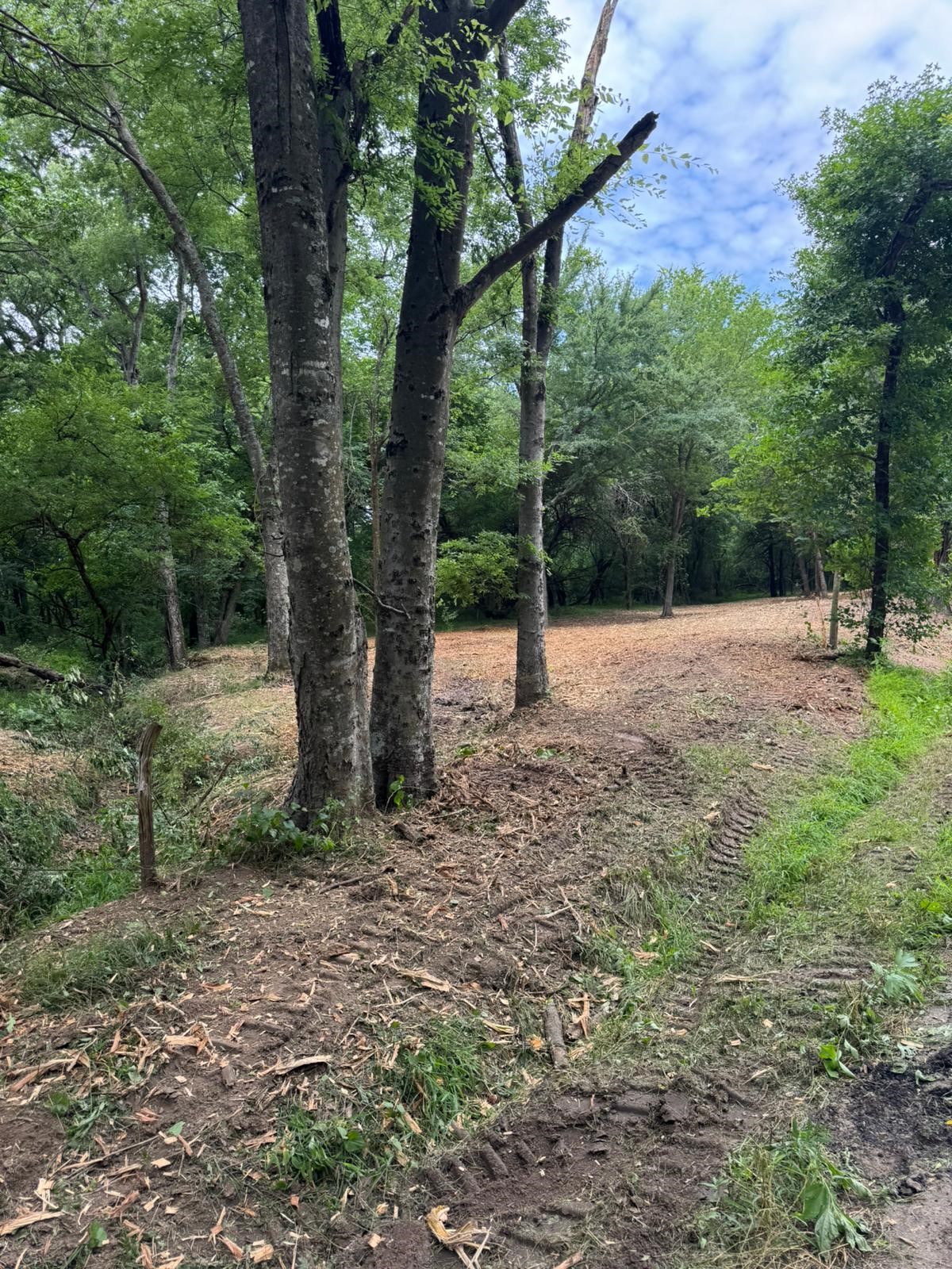 Lot 4 County Road 3562