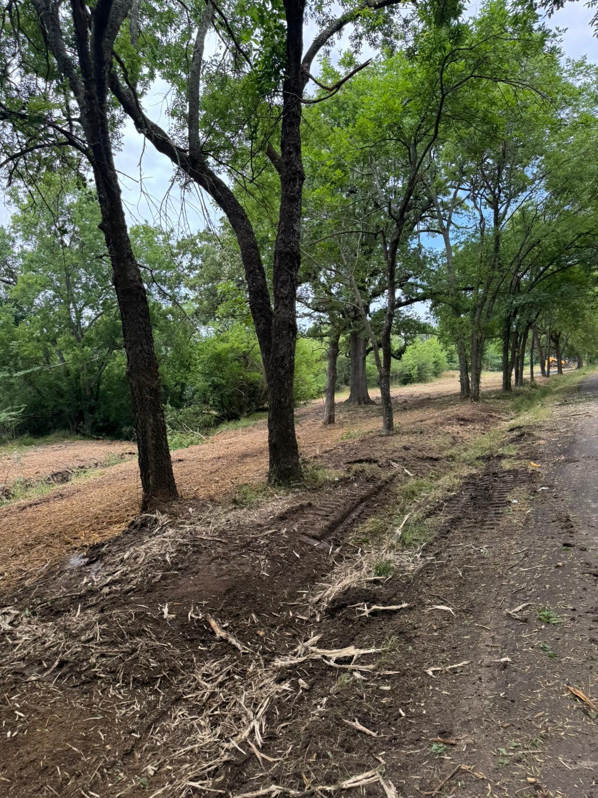 Lot 4 County Road 3562